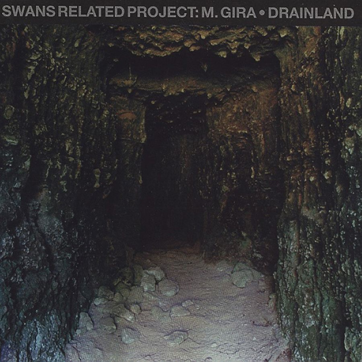 I See Them All Lined Up