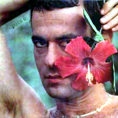 Mulheres de Atenas  Deixe a menina  N? o existe pecado ao sul do Equador