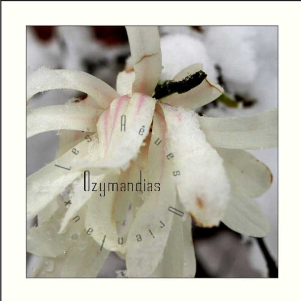 L'aube sur la mer de Bismarck