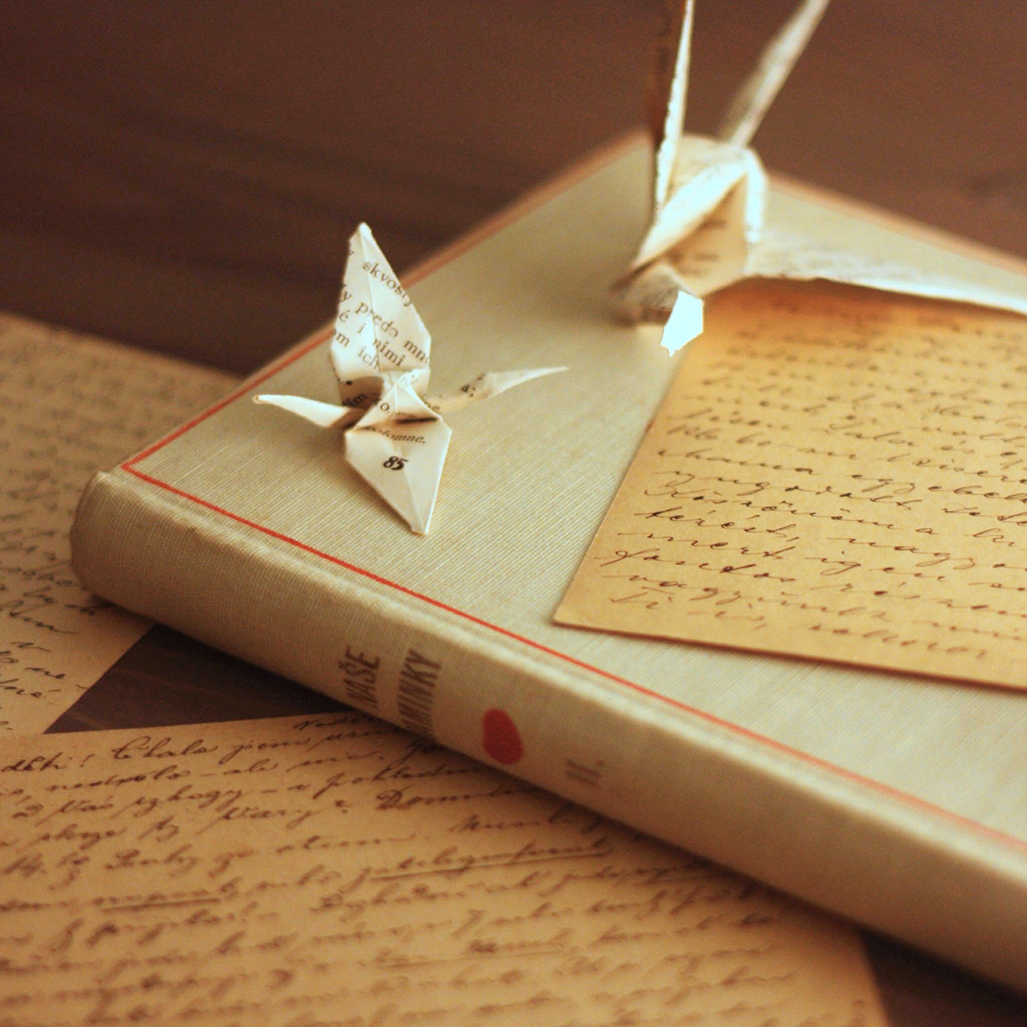 nei xie ceng jing de pei ban