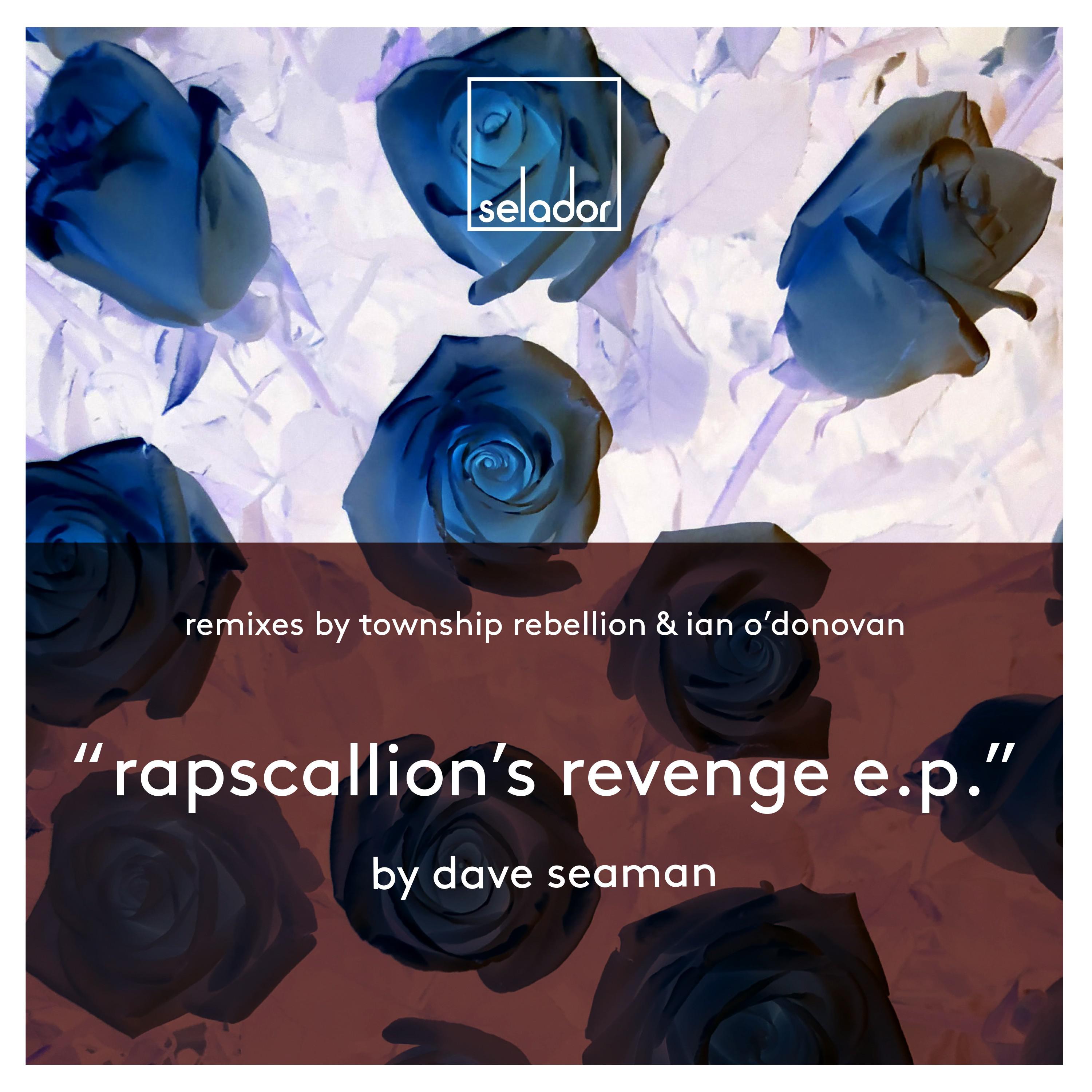 Rapscallion's Revenge (Ian o'donovan Remix)
