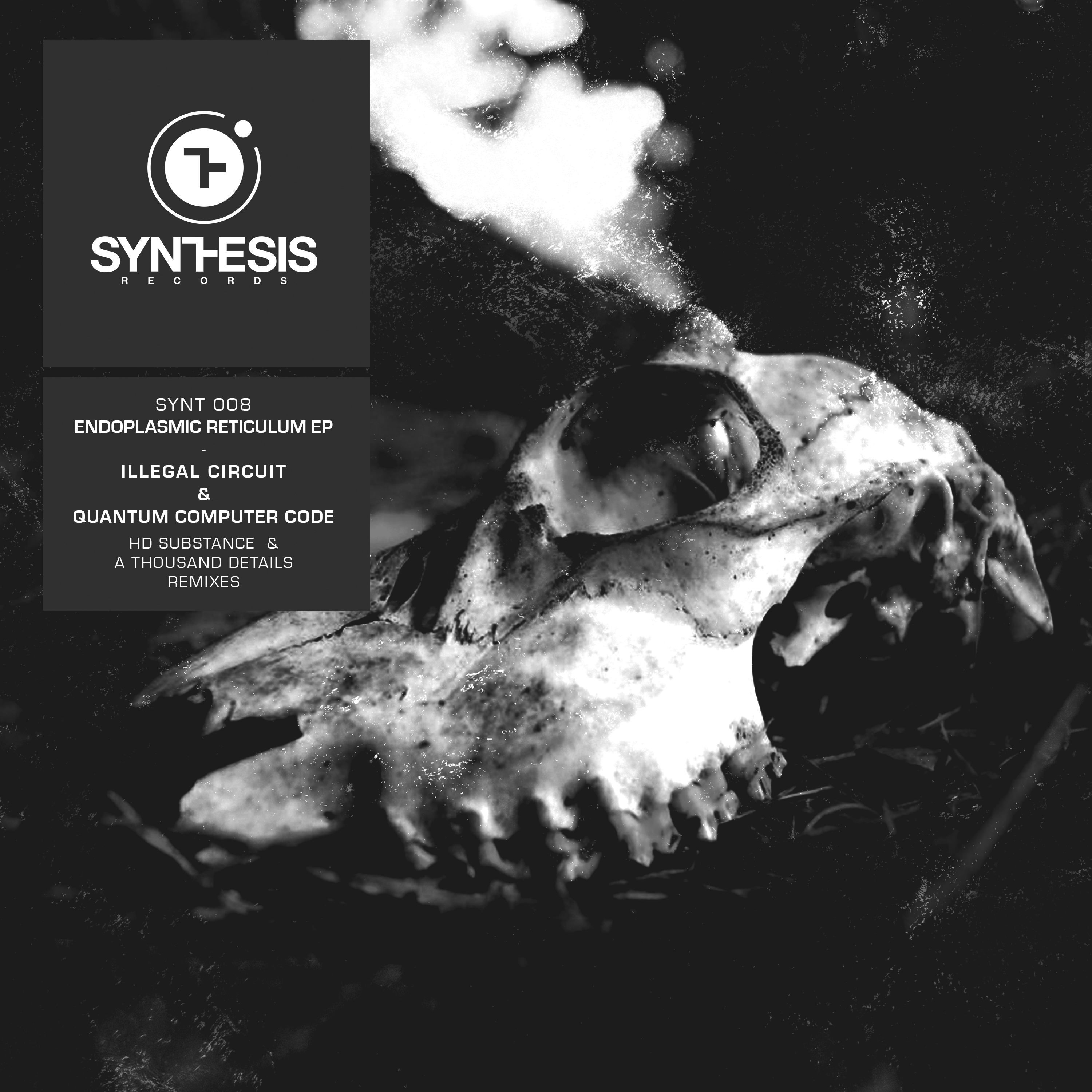 Binary Cells (A Thousand Details Remix)