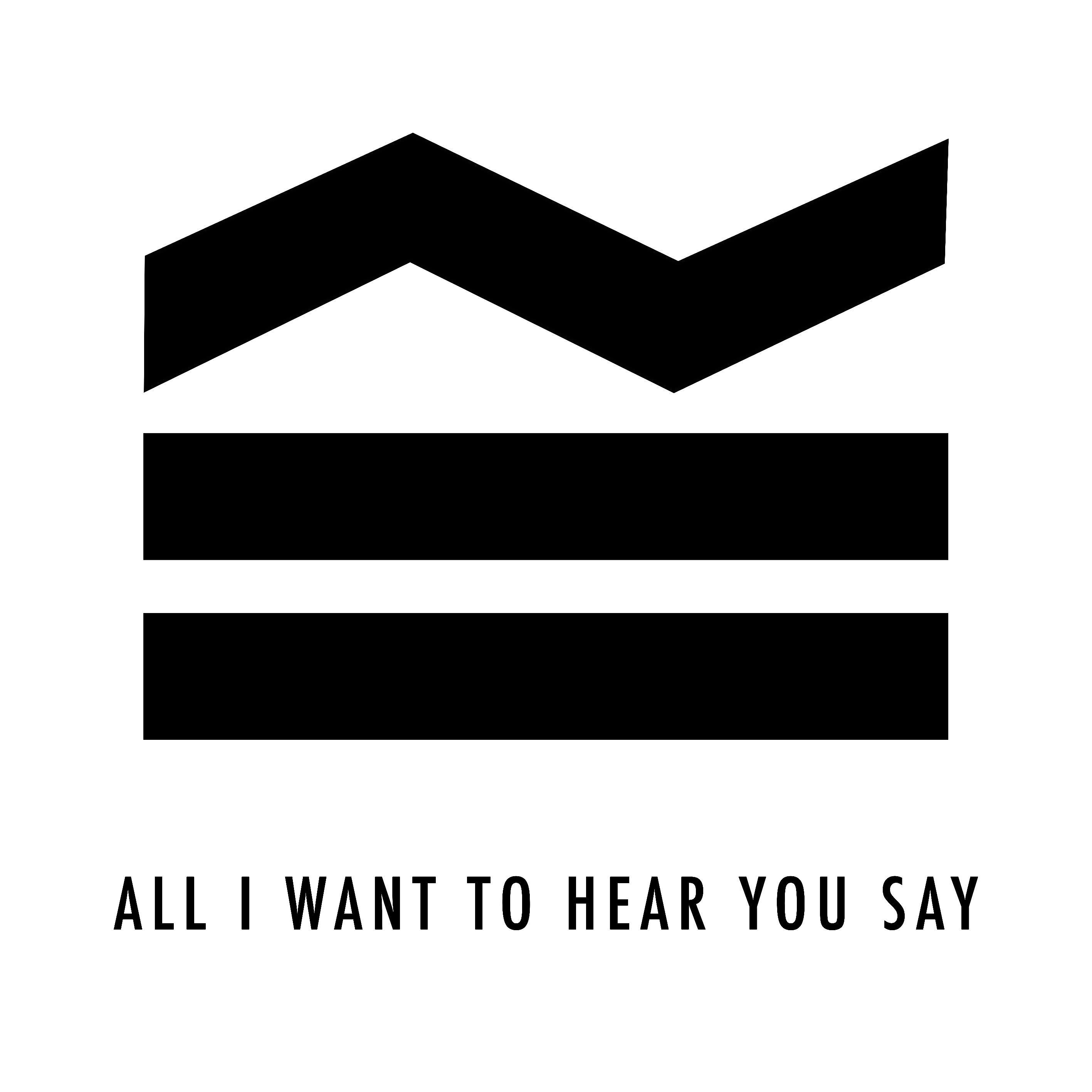 All I Want To Hear You Say