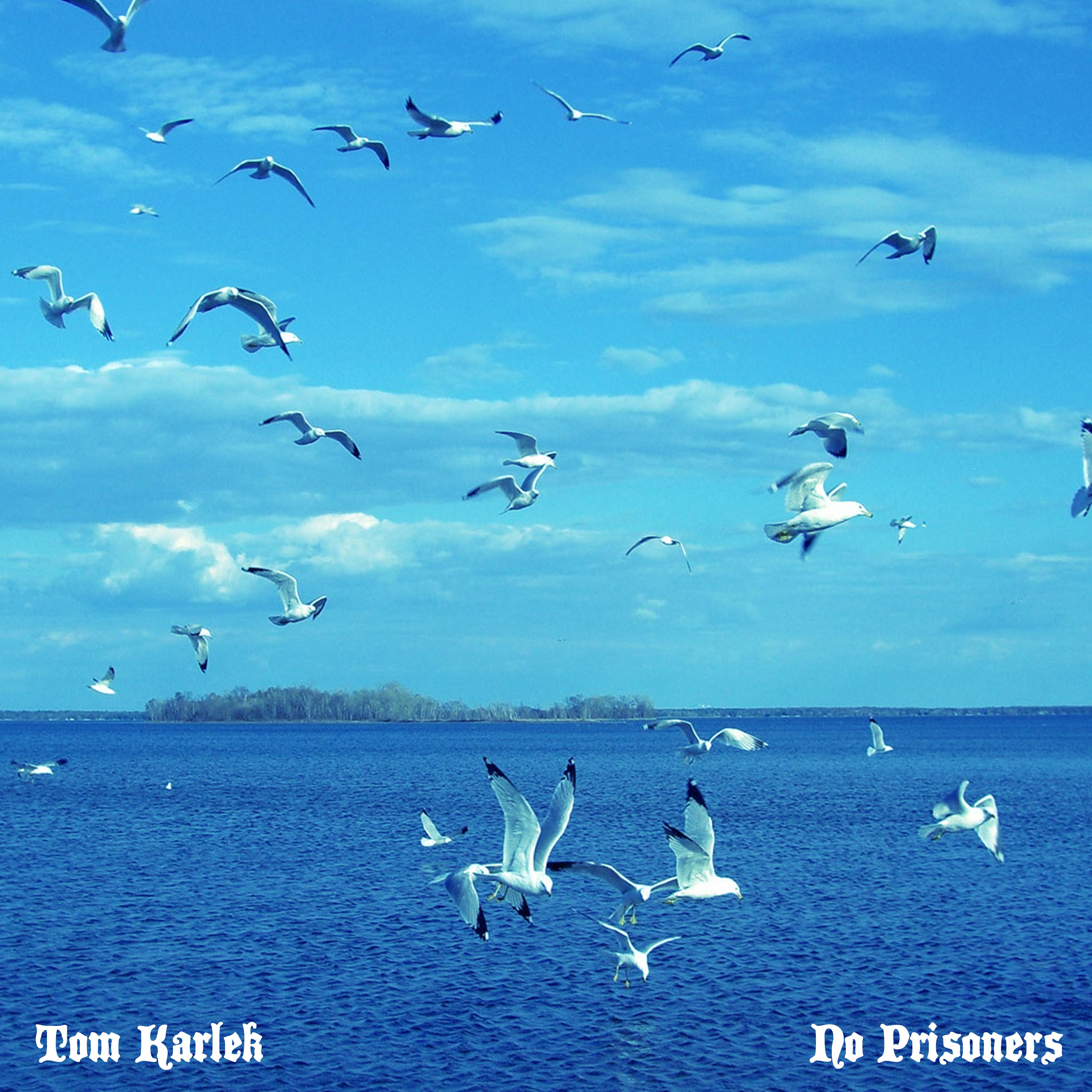 No Prisoners (Guitar Mix)