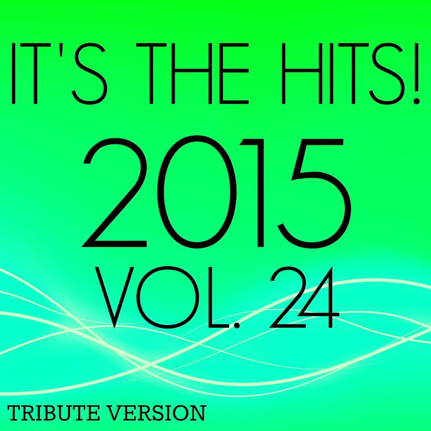It's The Hits! 2015, Vol. 24