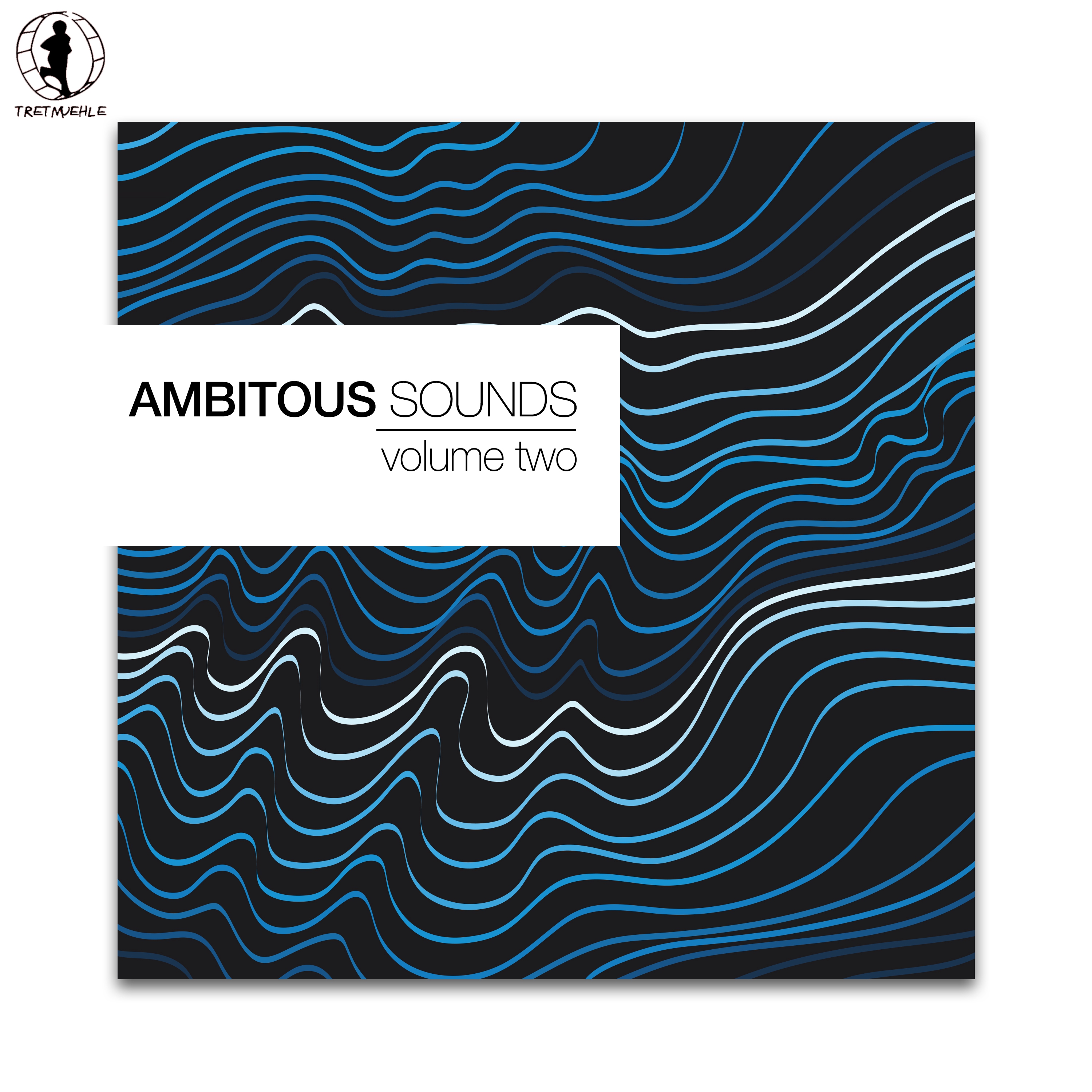 Ambitious Sounds, Vol. 2 - The Deep Side of Tech-House