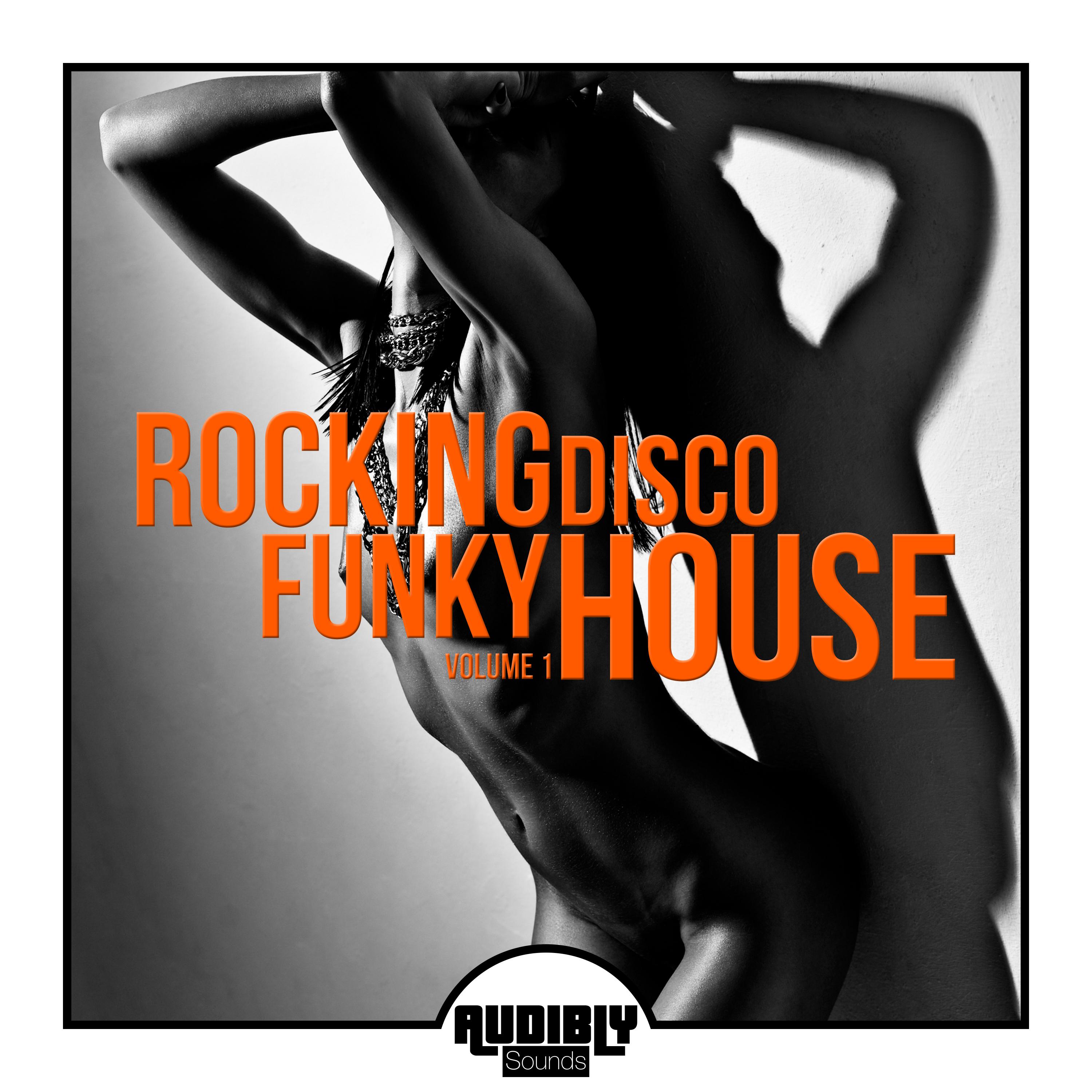 Rocking Funky Disco House, Vol. 1
