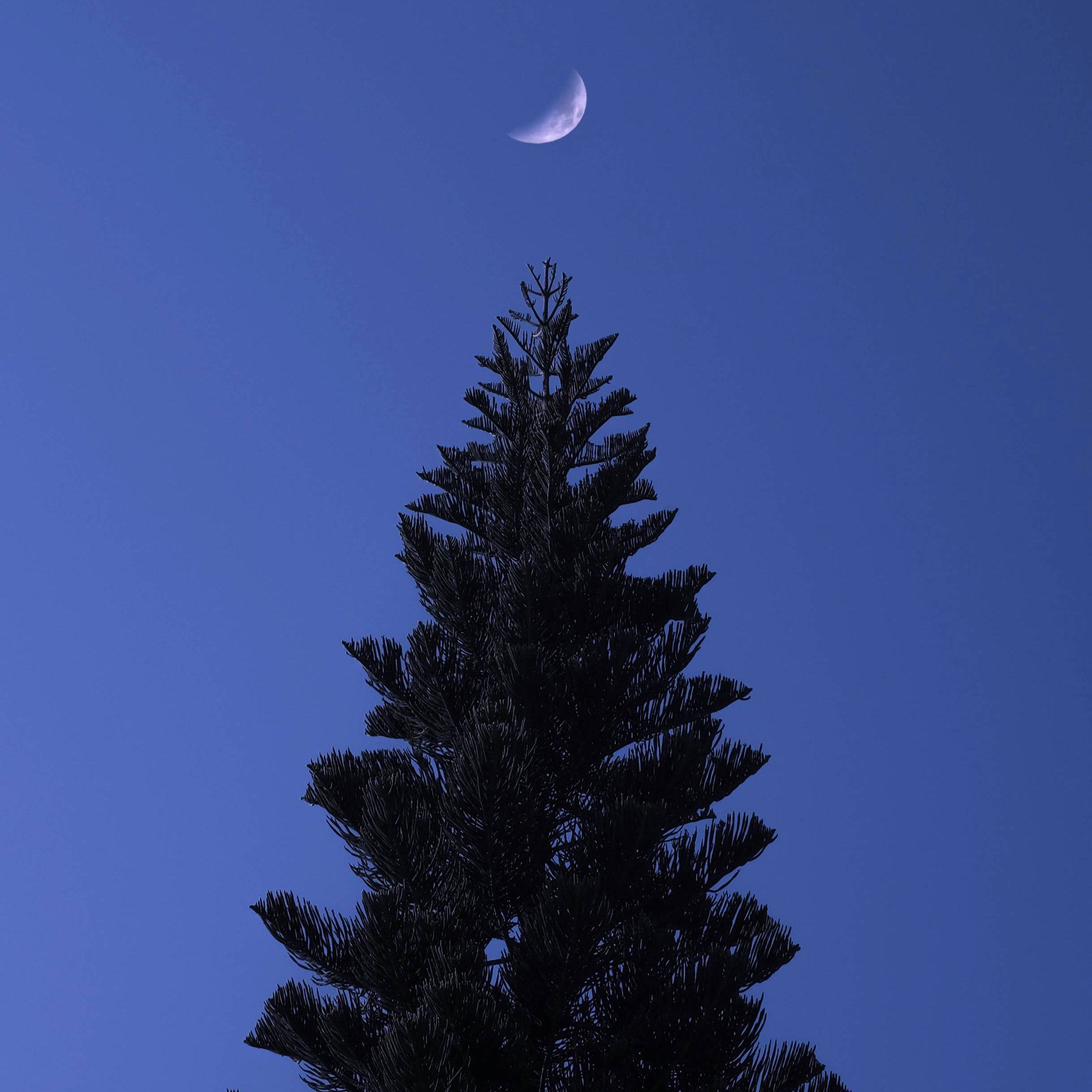 shi shi gu ren lai Cover: mei yan fang