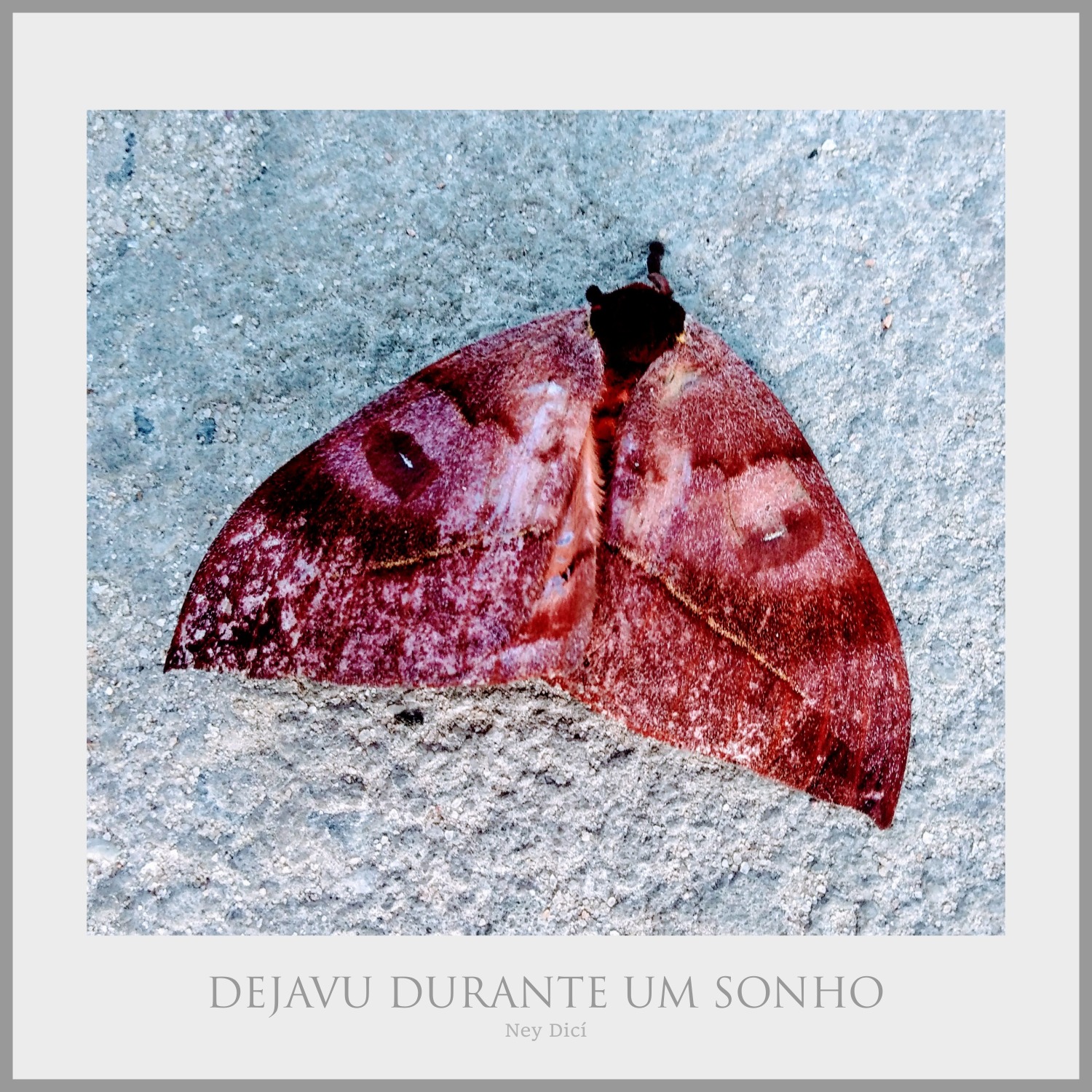 Dejavu Durante um Sonho