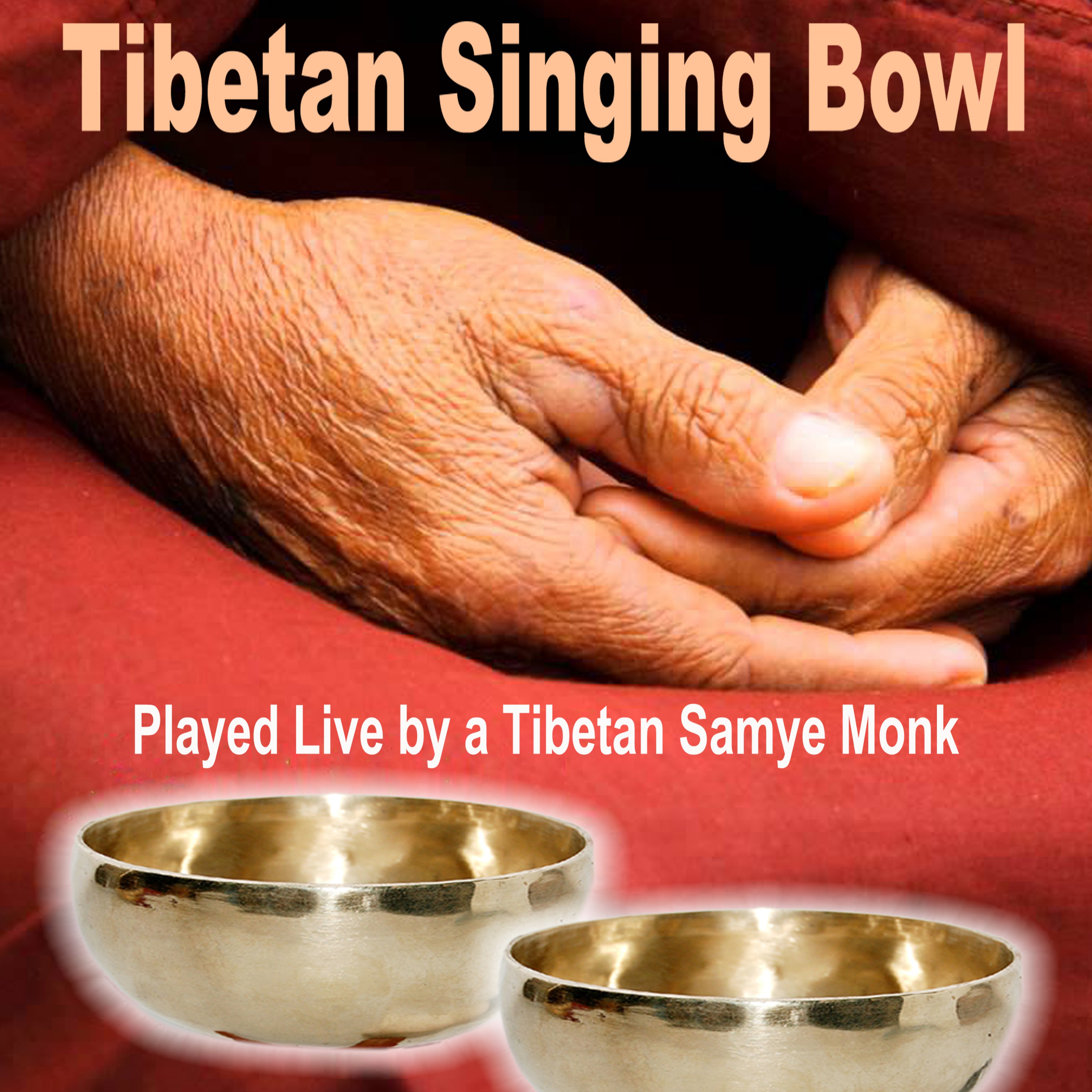 Tibetan Singing Bowl (Played Live by a Tibetan Samye Monk)