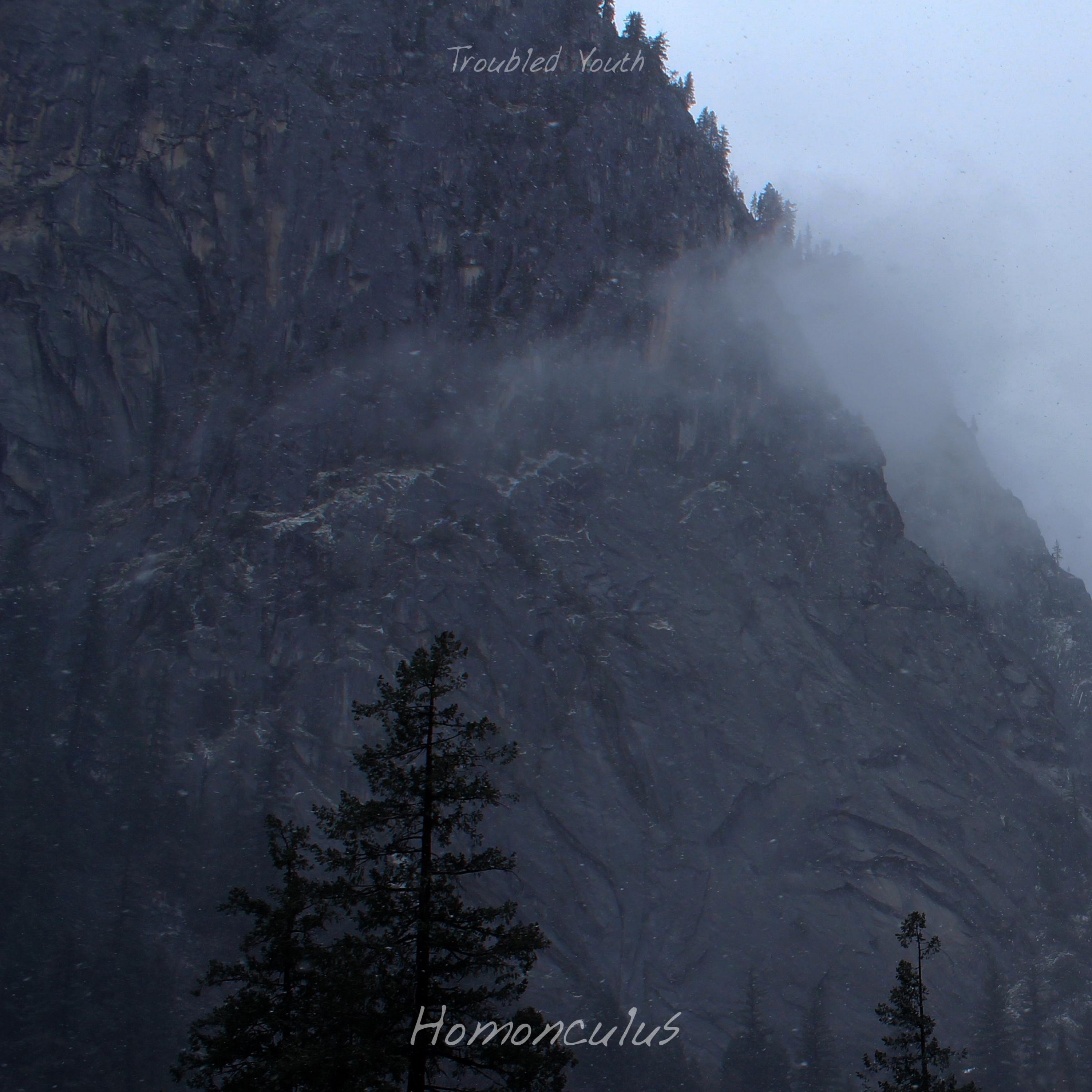 Building the Coalition