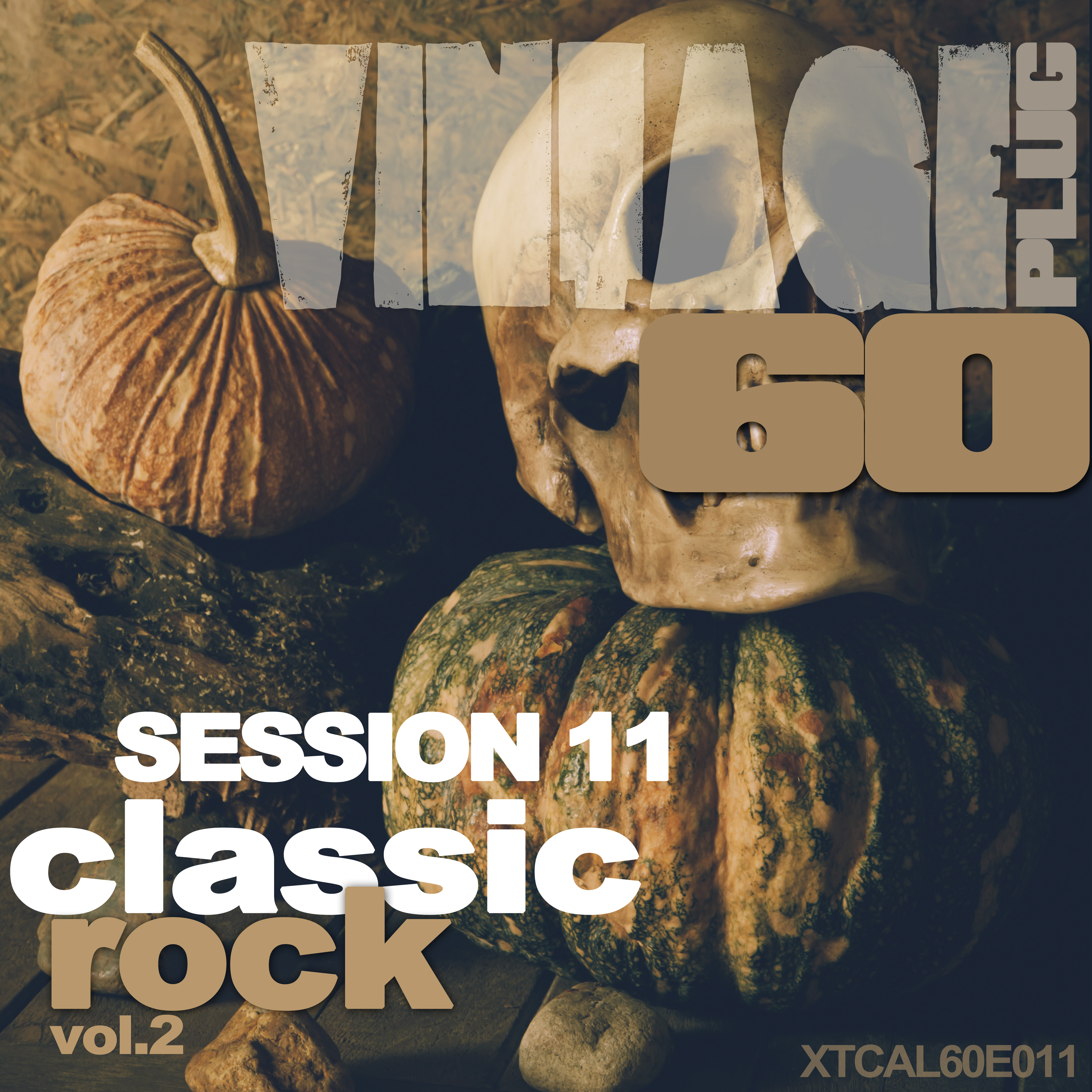 Vintage Plug 60: Session 11 - Classic Rock, Vol. 2