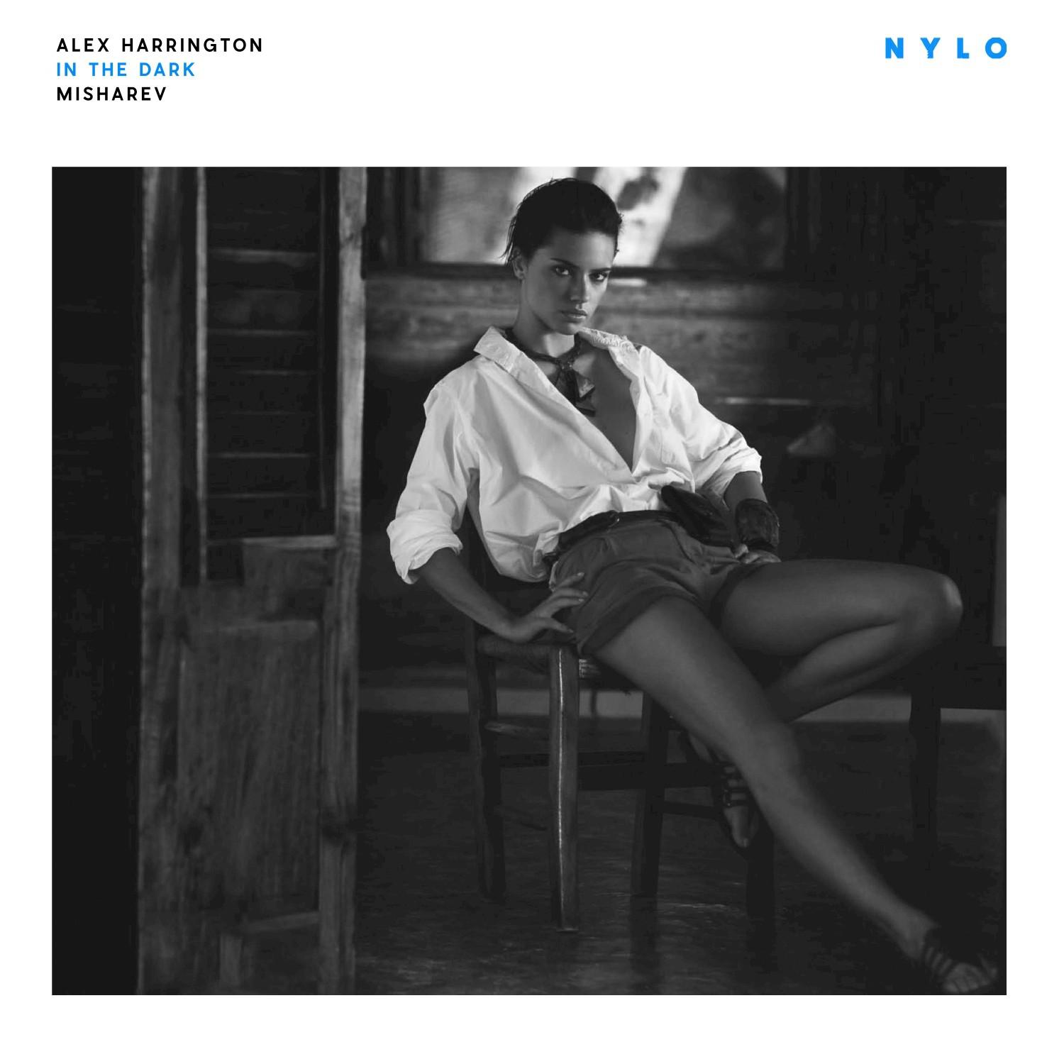 In the Dark (Misharev Remix)