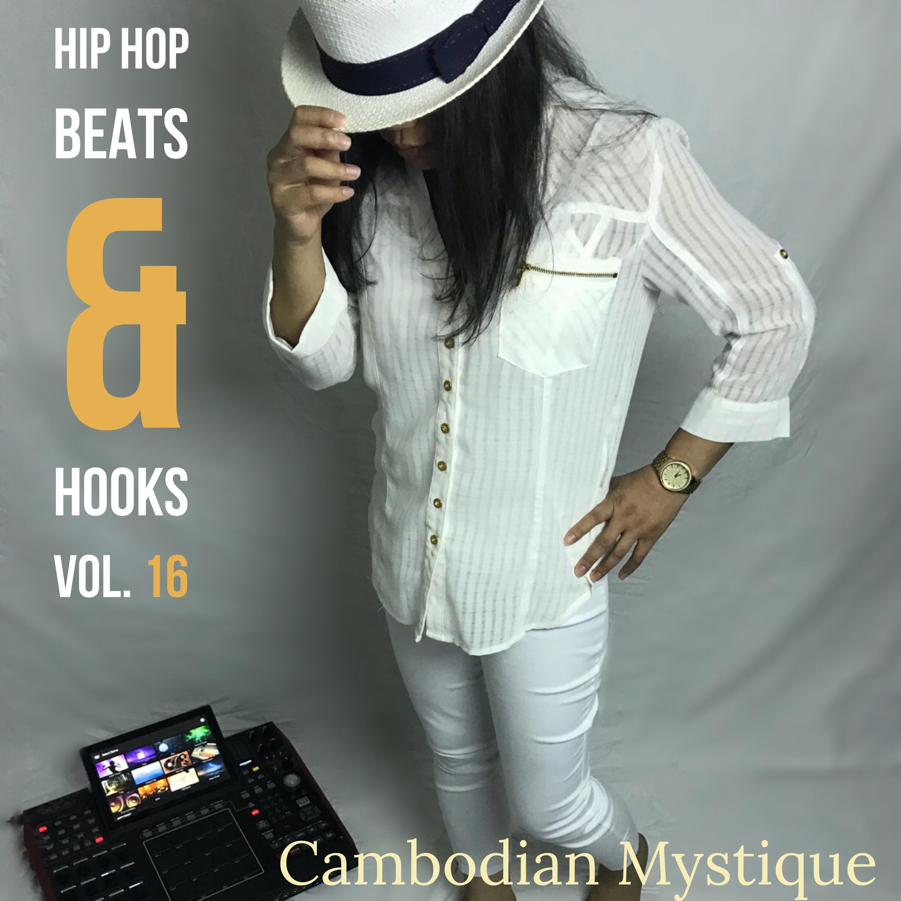 Hip Hop Beats & Hooks. Vol. 16
