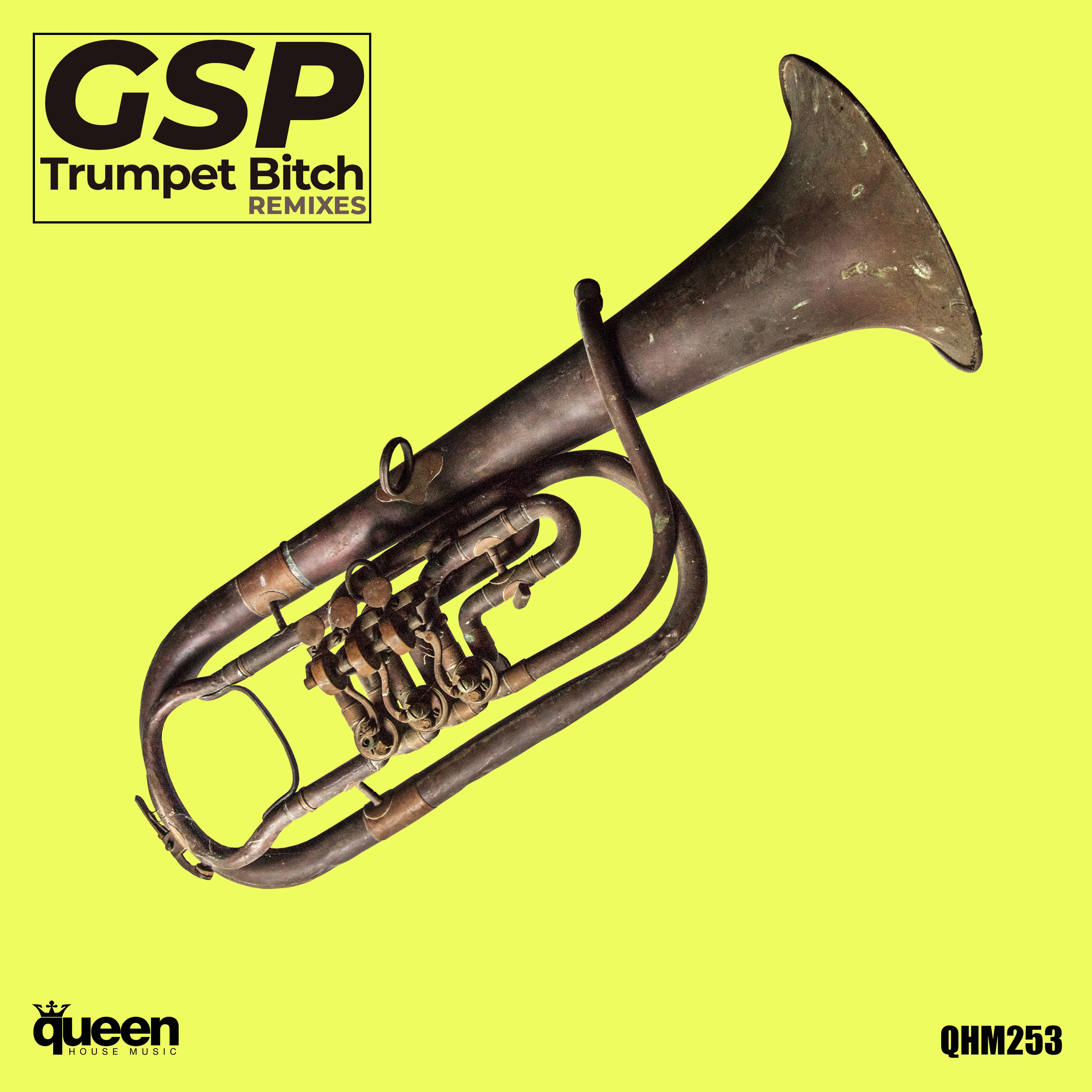 Trumpet ***** (Victor Nillo Tribal Tech Remix)