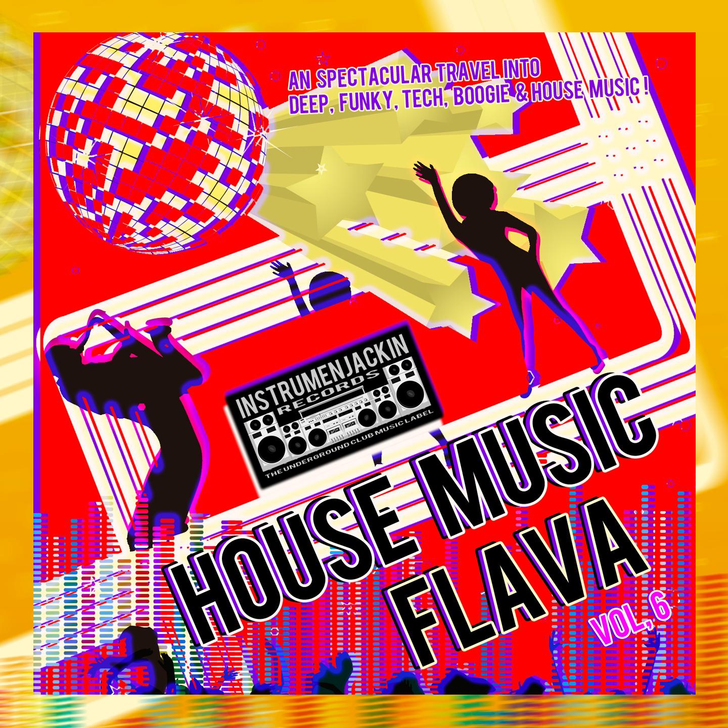 House Music Flava, Vol. 6