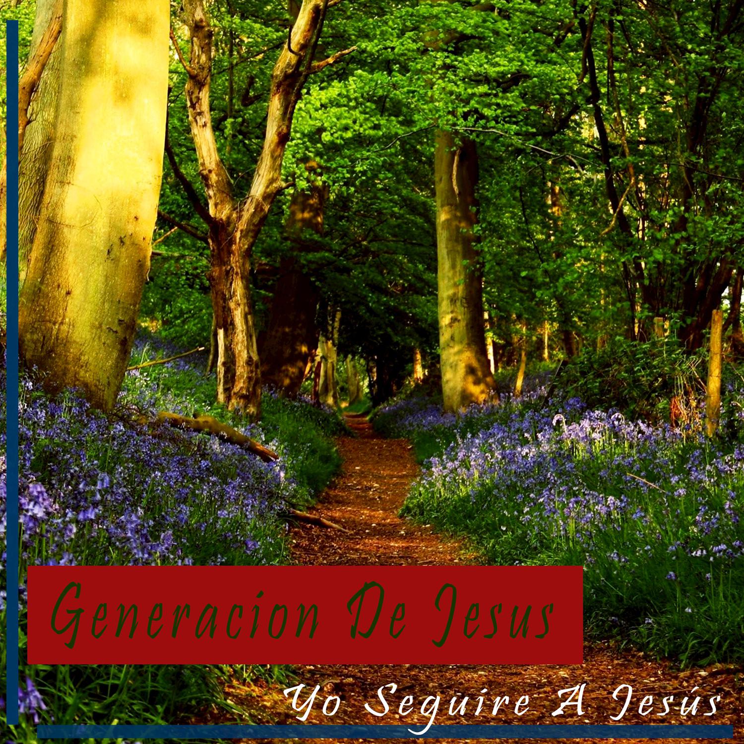 Yo Quisiera Comprender