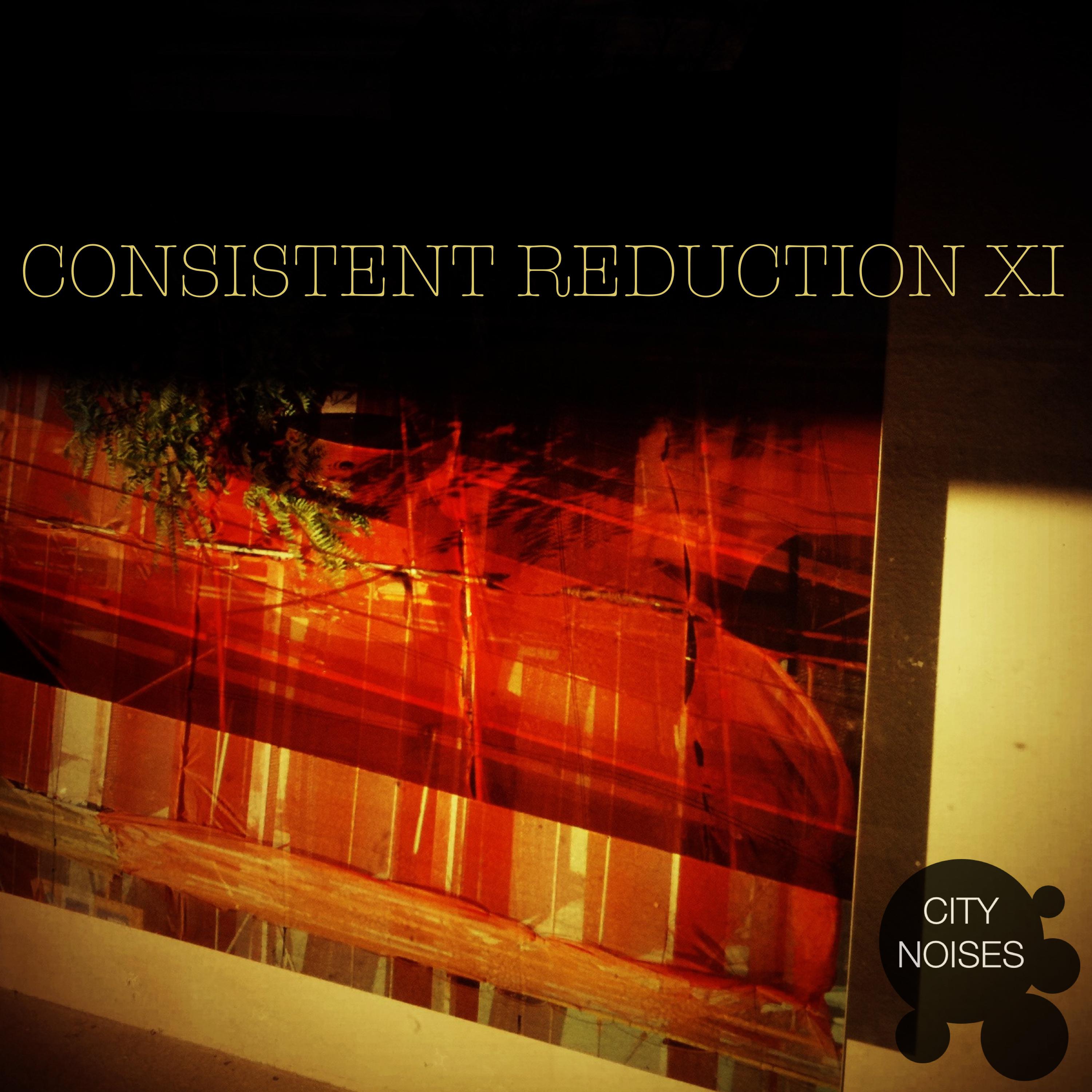 Consistent Reduction XI
