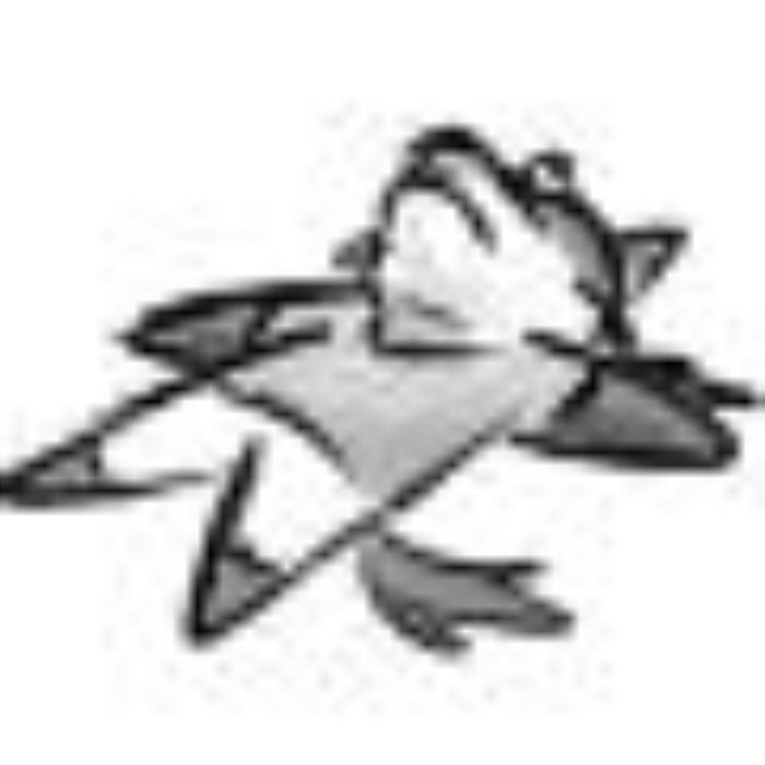 chu jian xue de ha shi qi