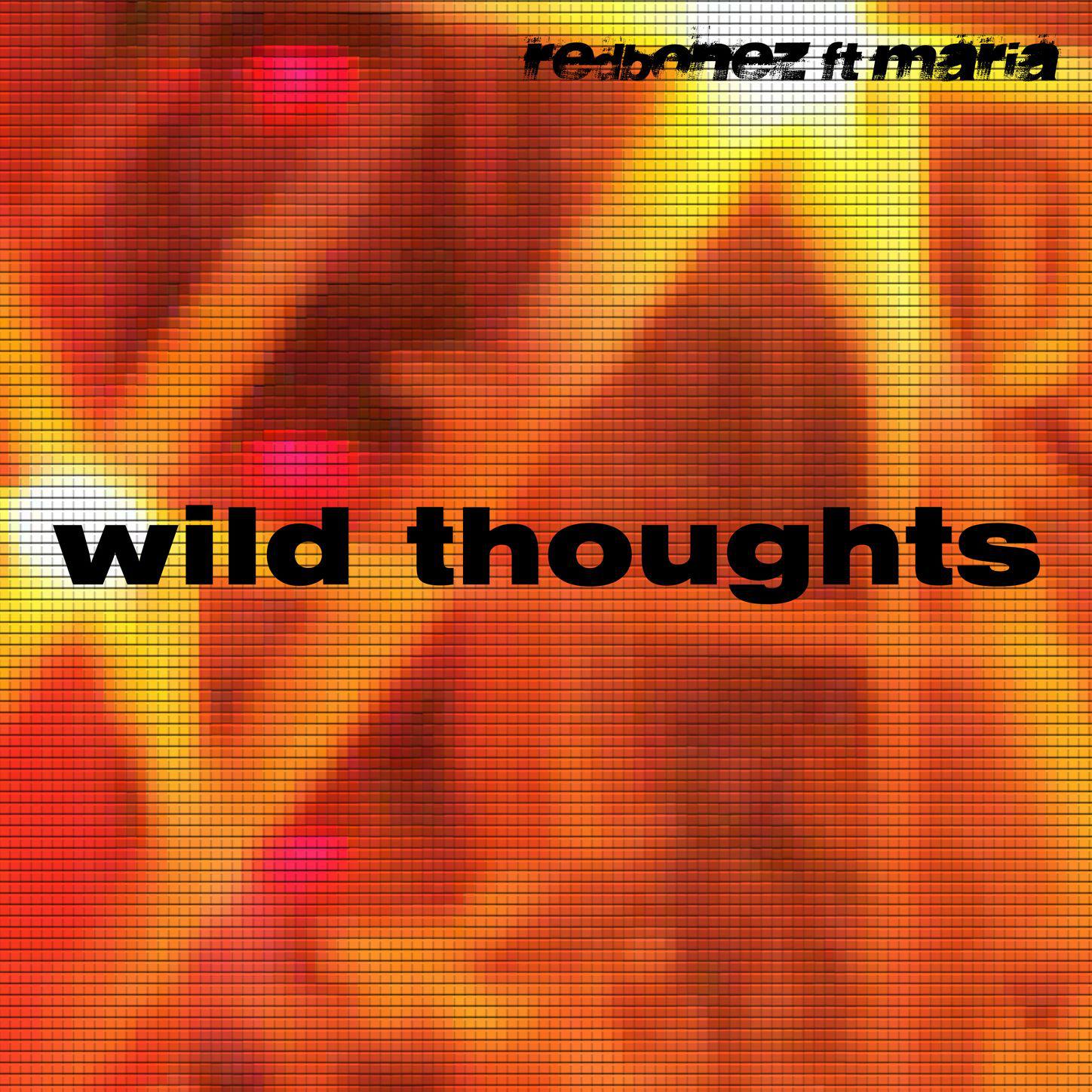 Wild Thoughts (Peexbak Acoustic Unplugged Instrumental)