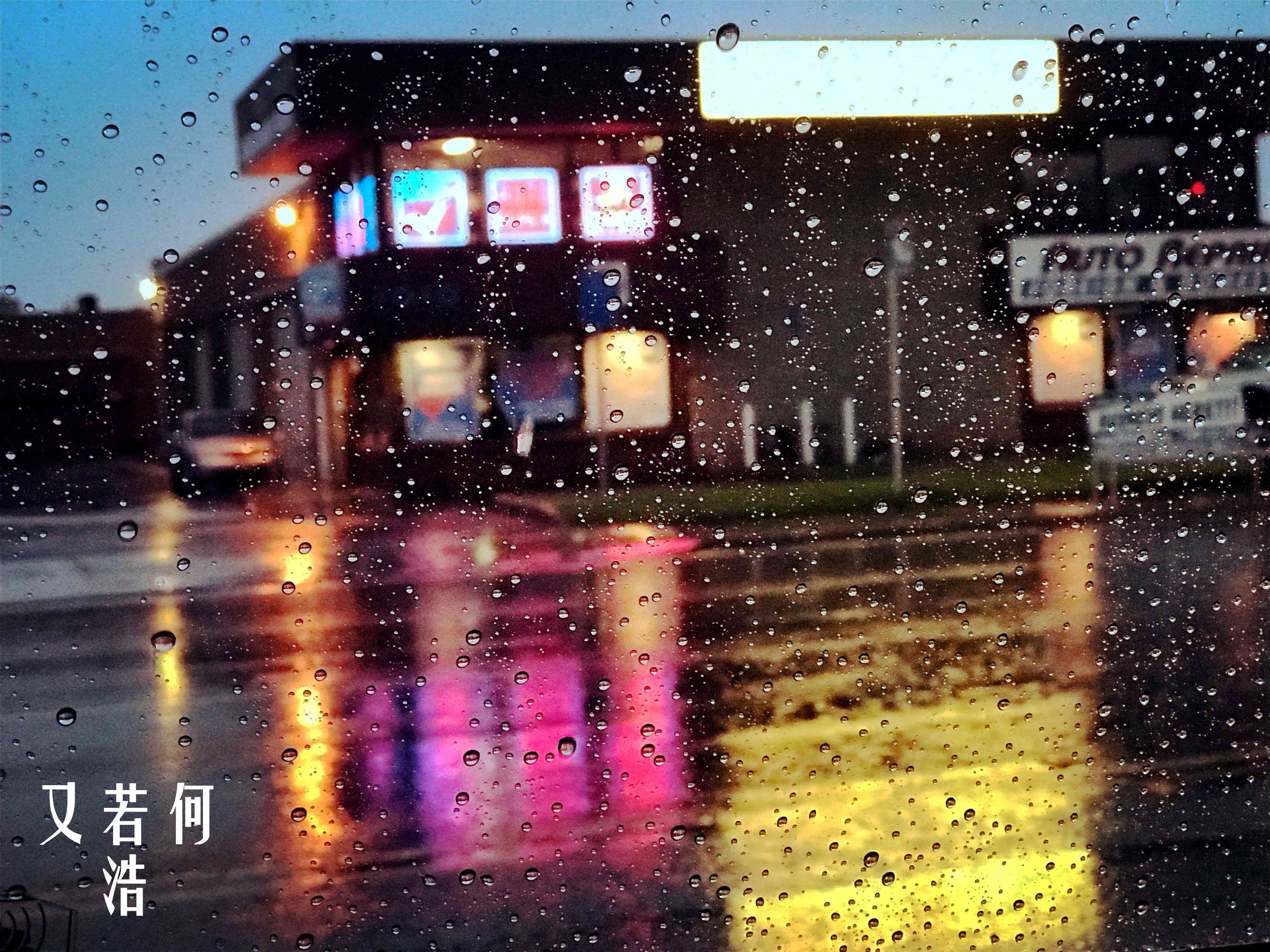 li li an fan zi song dong ye