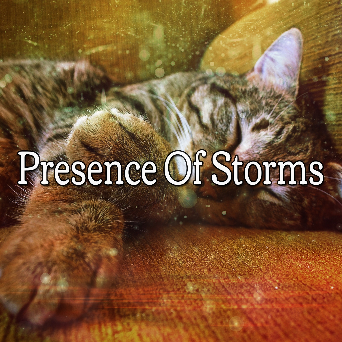 Presence Of Storms