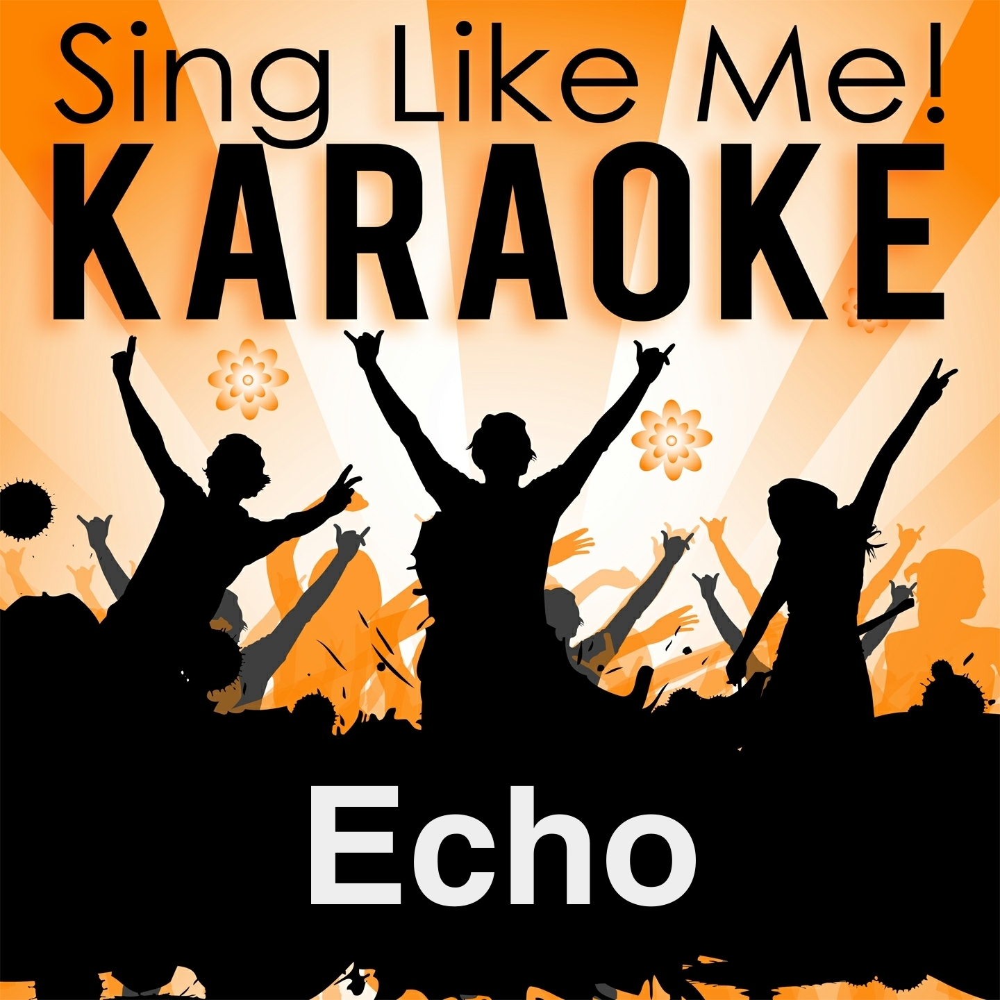 Echo Karaoke Version Originally Performed By Zü ri West