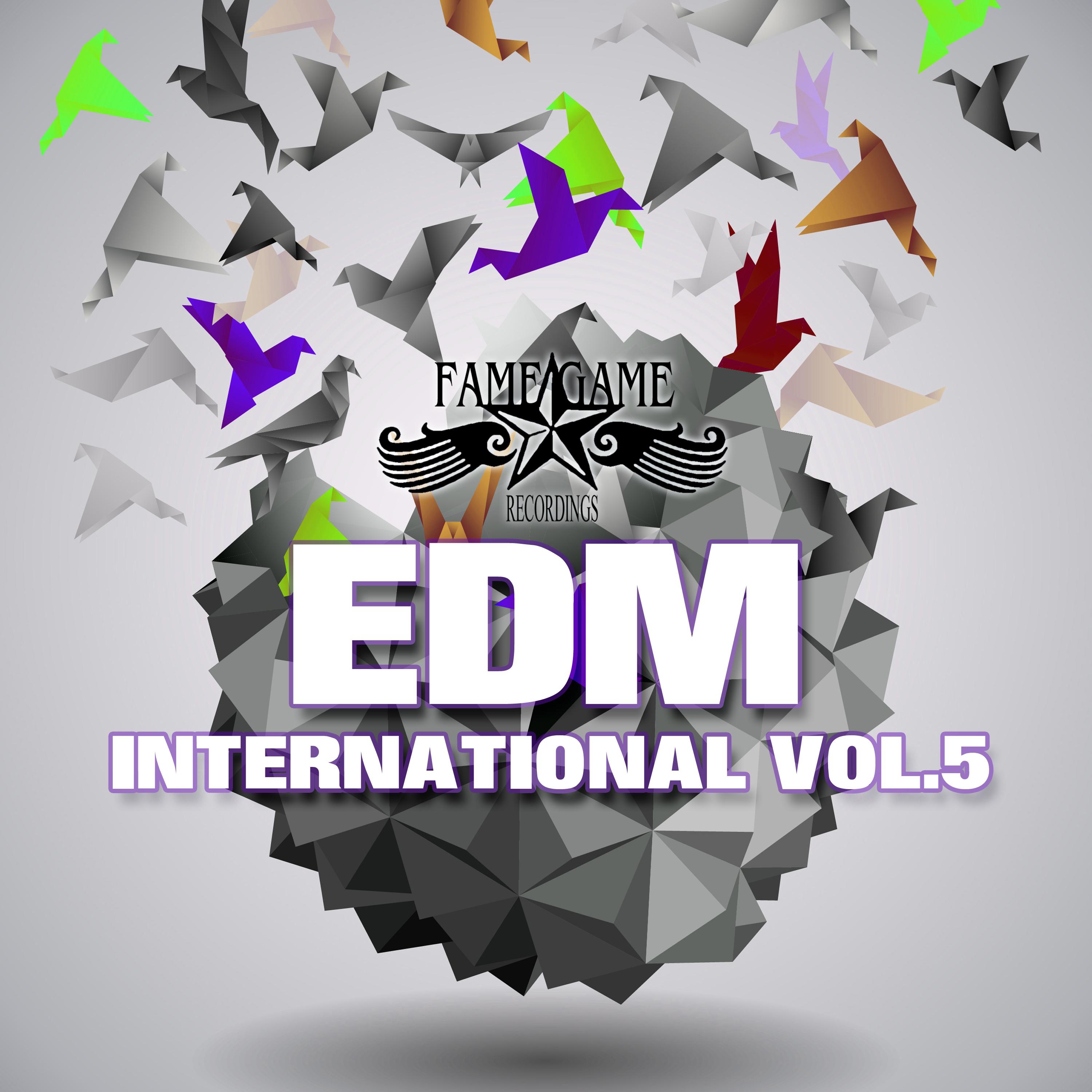 EDM International, Vol. 5