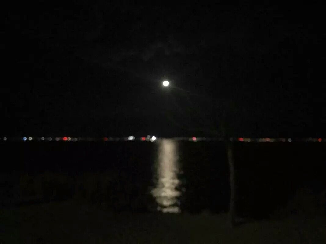 kun zai gu dao de wu jiao niao