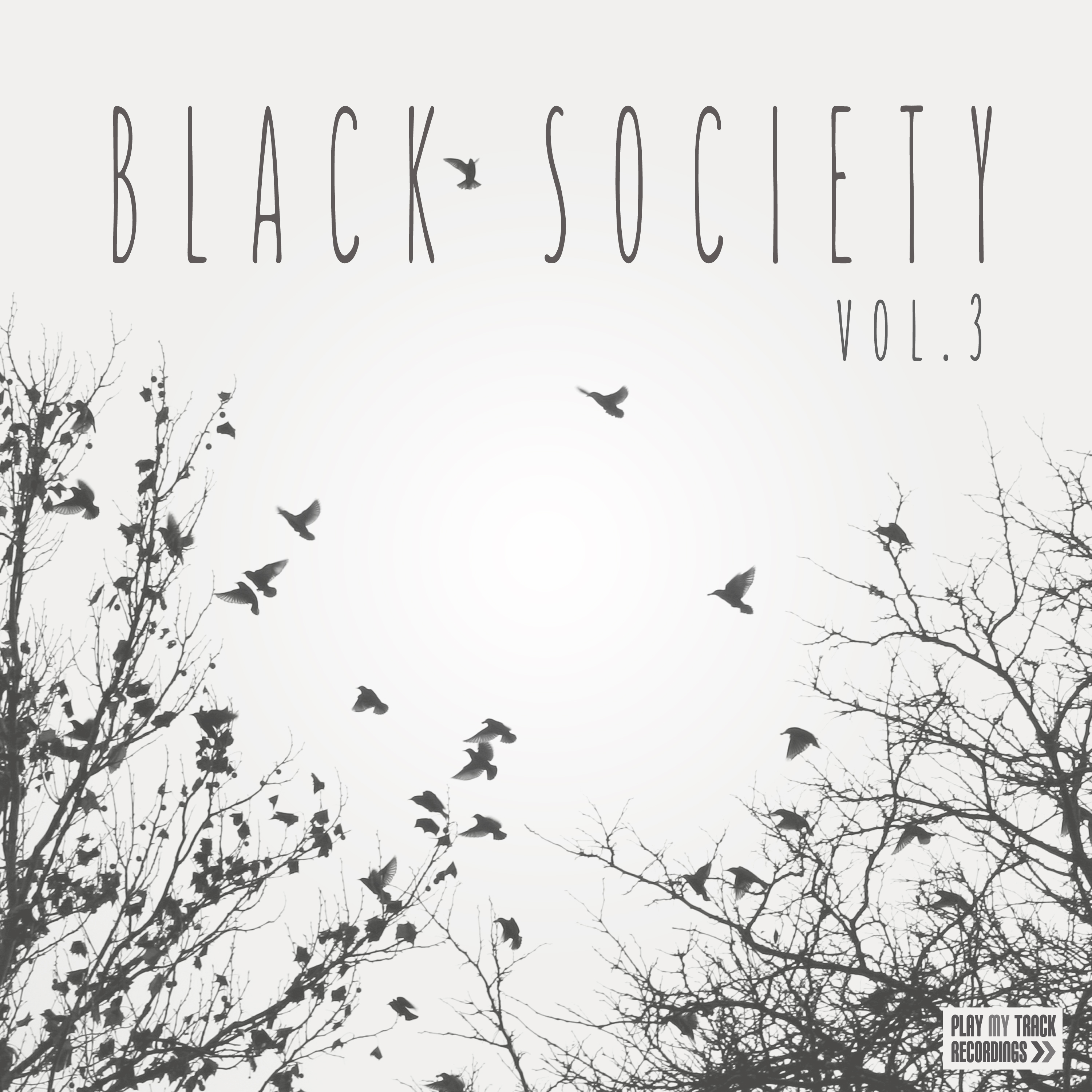 Black Society, Vol. 3