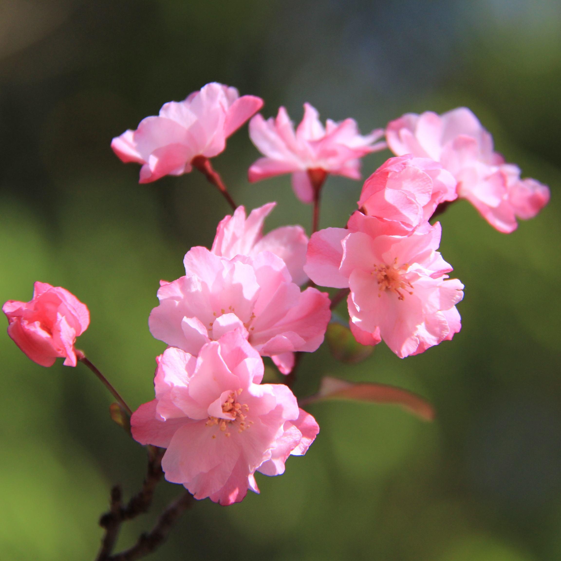 Endless Tears Piano Ver