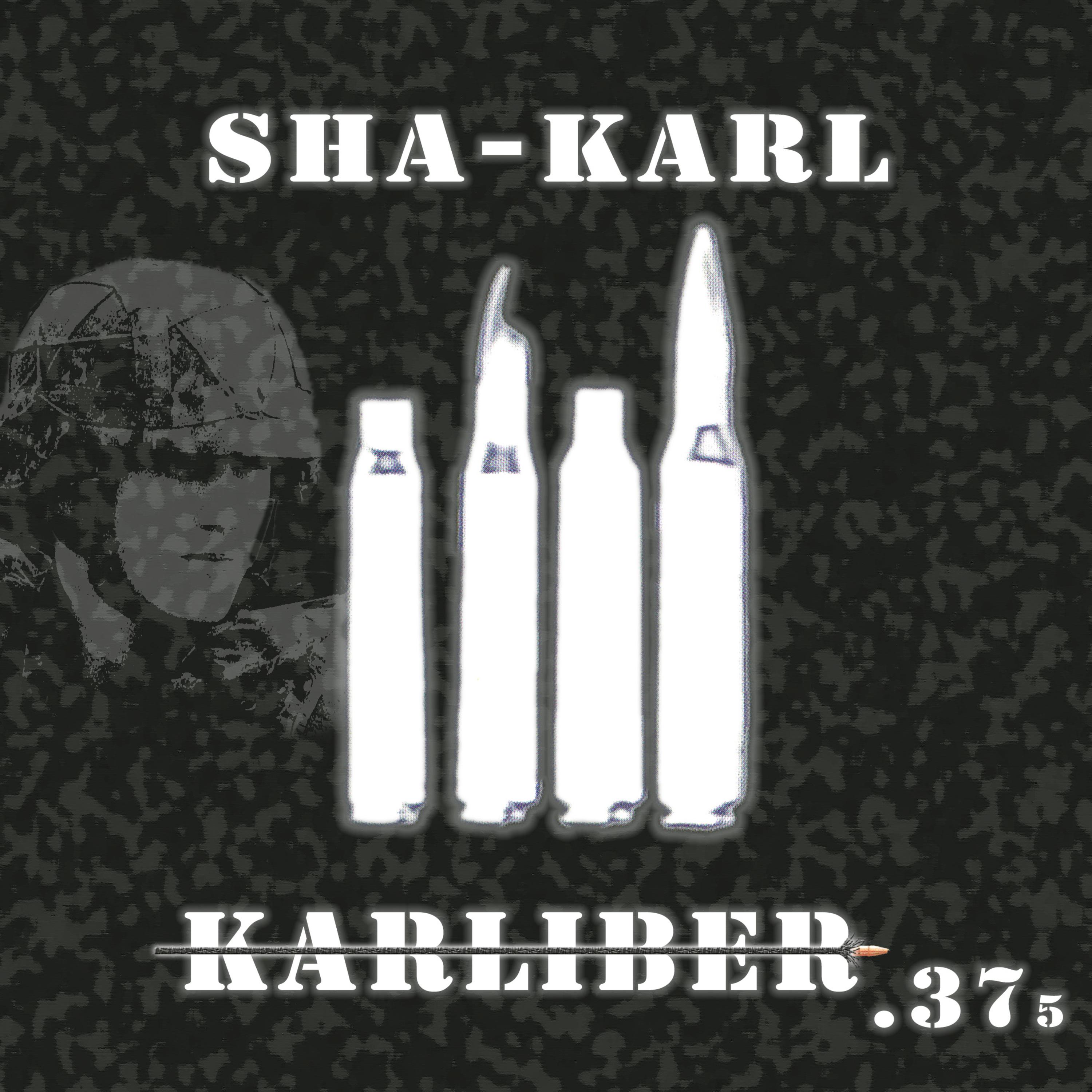 Karliber .375