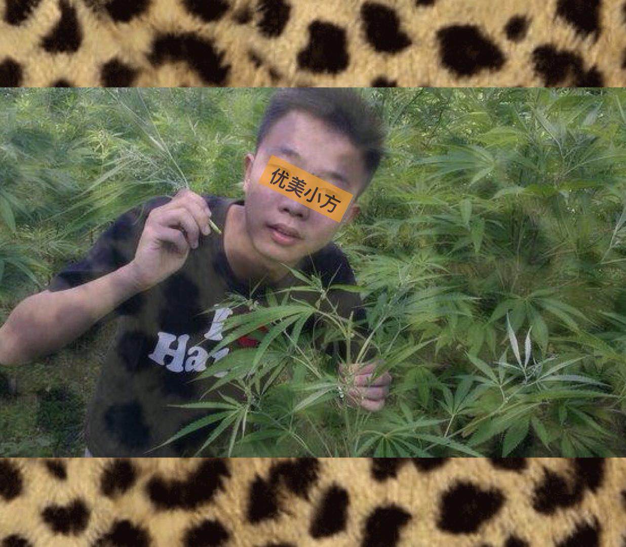 fang zi ni chu yang xiang wo xiao ni ni bu fu ma?