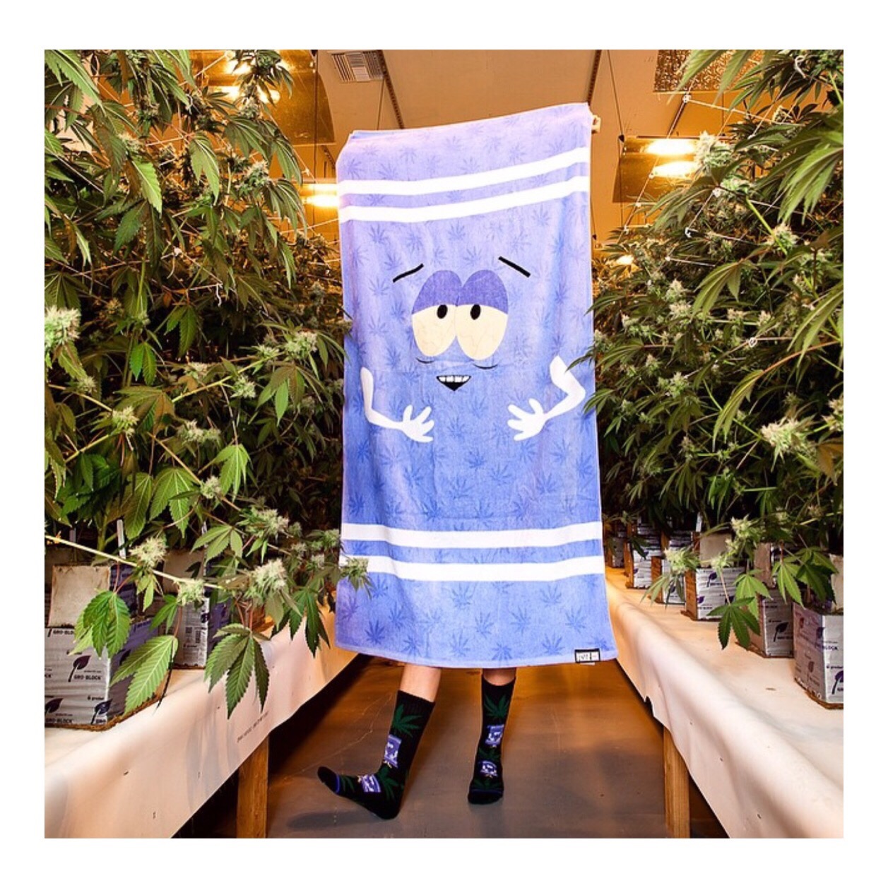 N. Y. C  SPACE  RADIO