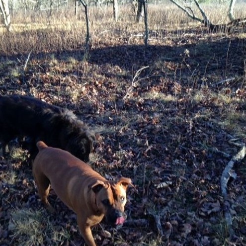 i got a bag of crushed dreams like wht u needin mane (prod. 93FEETOFSMOKE)