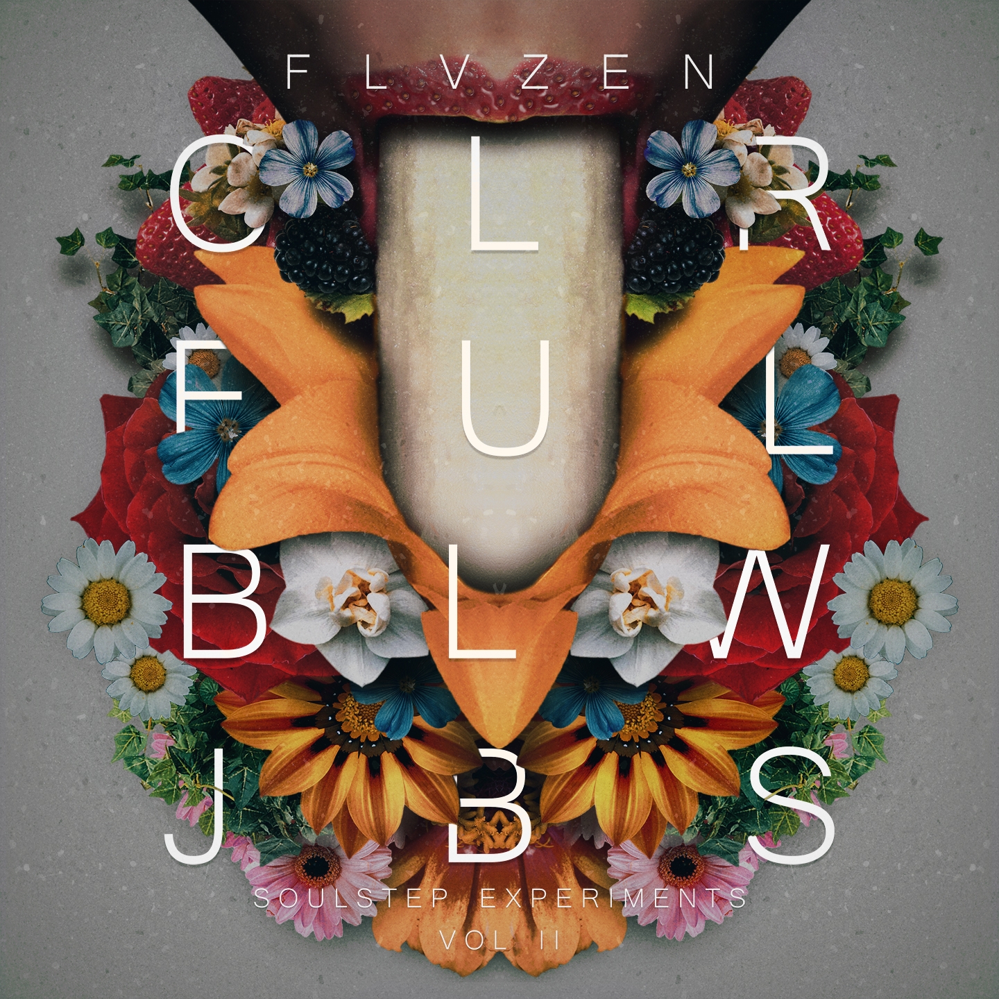 Colorful Blowjobs, Vol. 2 (Soulstep Experiments)