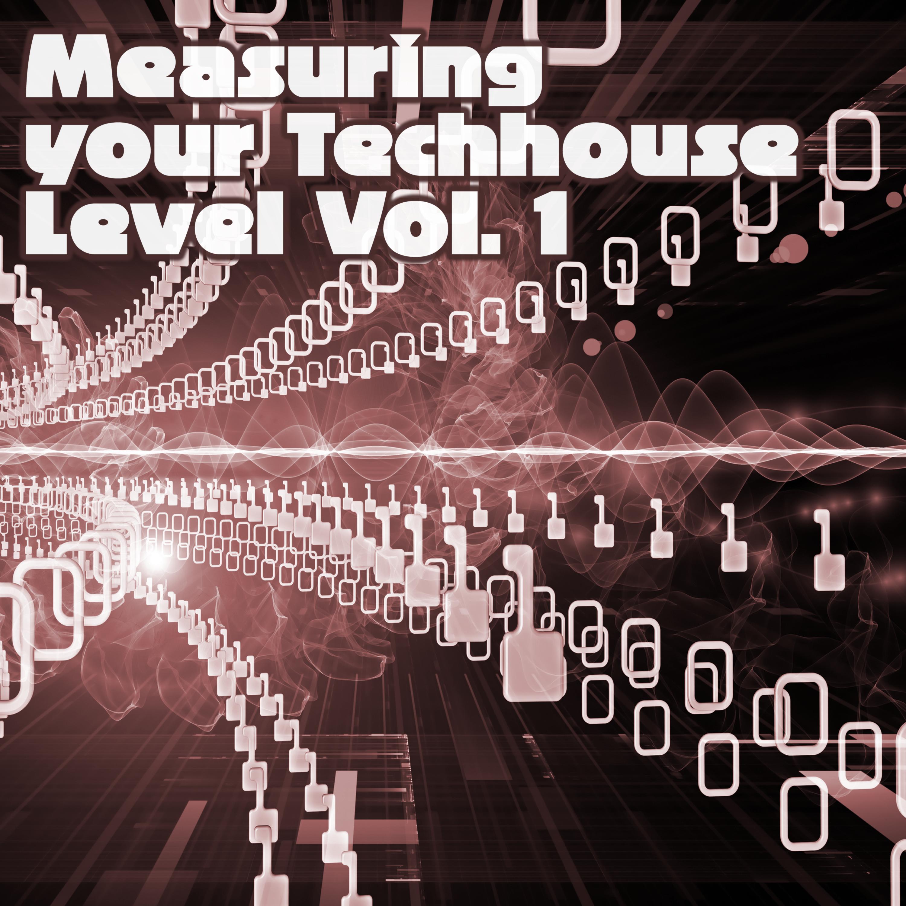 Measuring Your Techhouse Level, Vol. 1