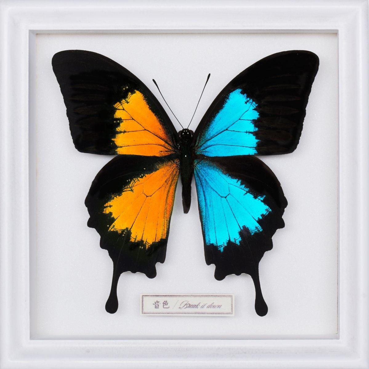 Break it down (Instrumental)