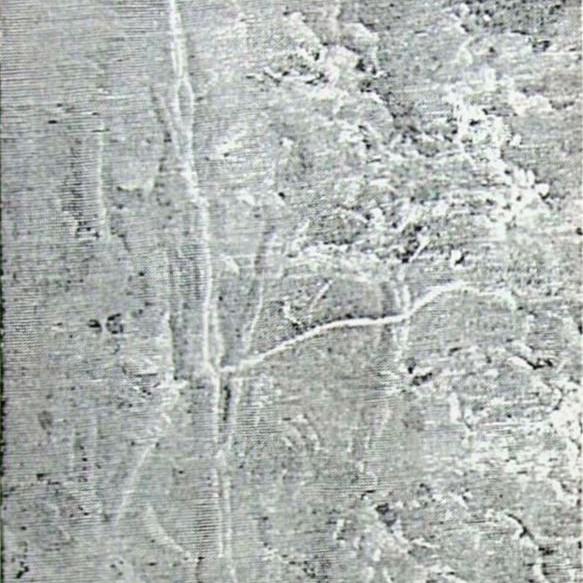 Procession Of The Sun Children