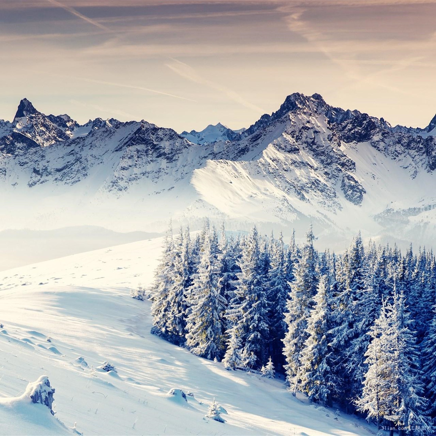 zui qian nian DJ dong gu cheng li Remix