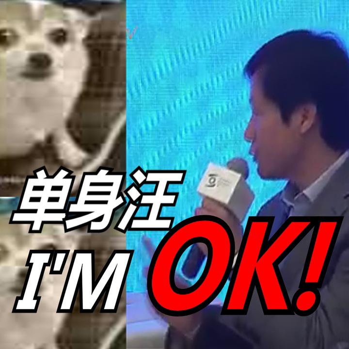 lei jun dan shen wang I' m OK!