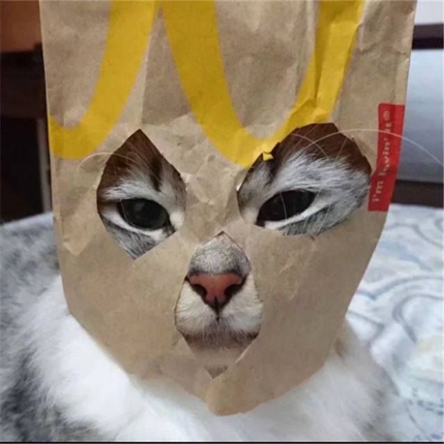 zui she bu de zai jian de ren