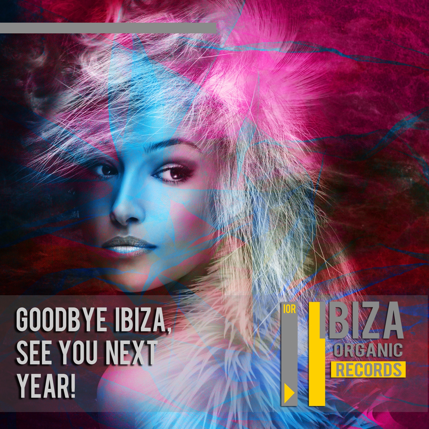 Goodbye Ibiza, See You Next Year!