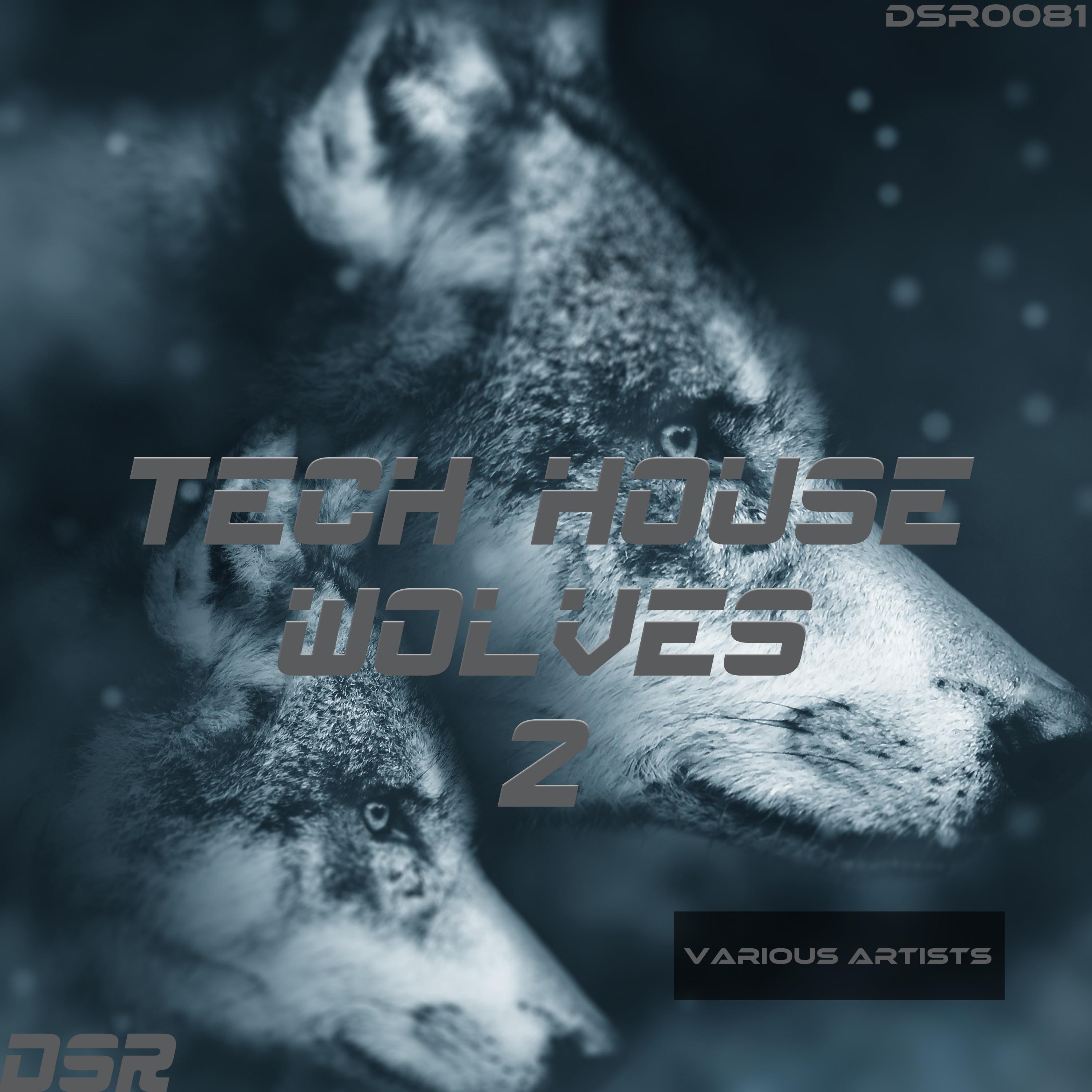 Tech House Wolves, Vol. 2