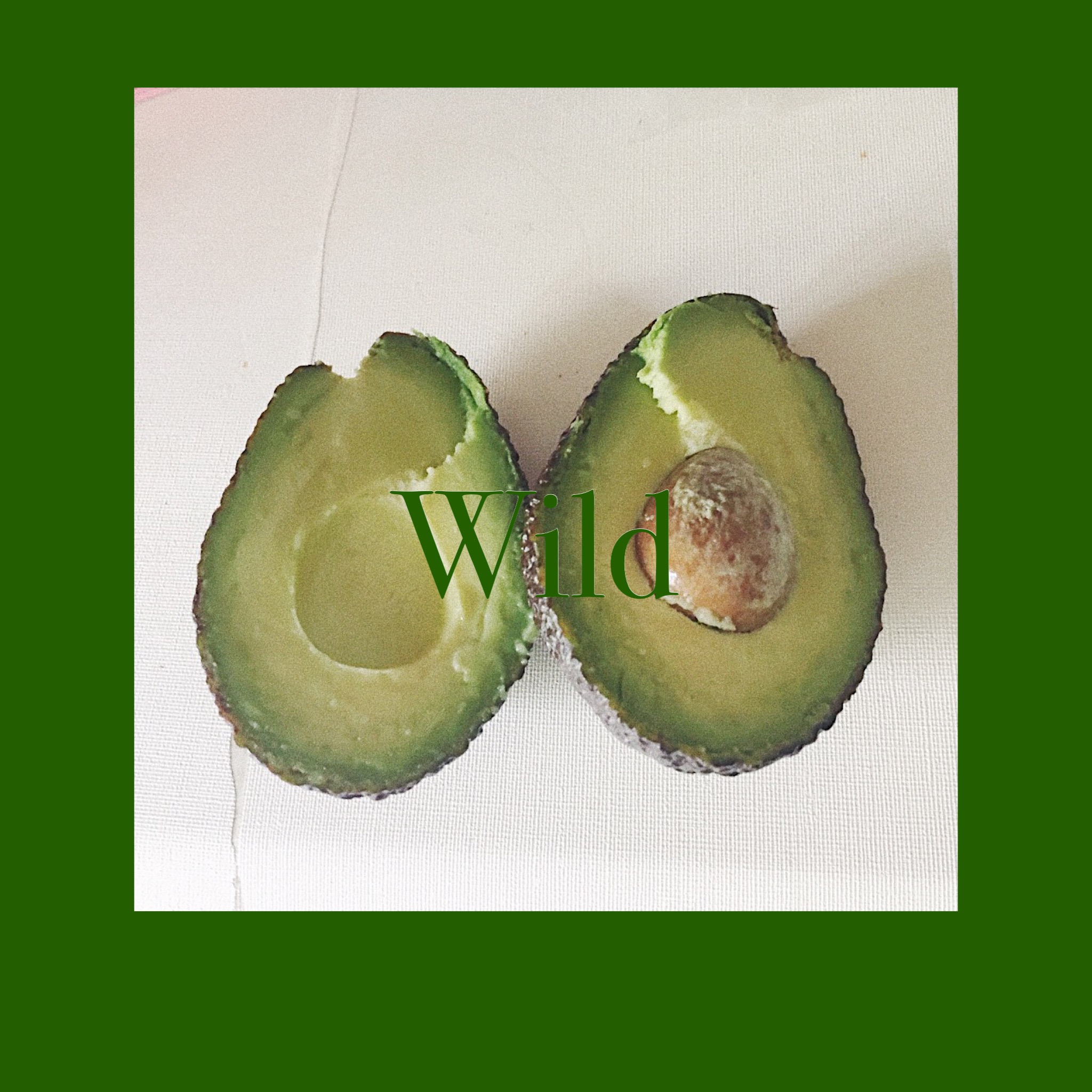 Wild Cover: Troye Sivan