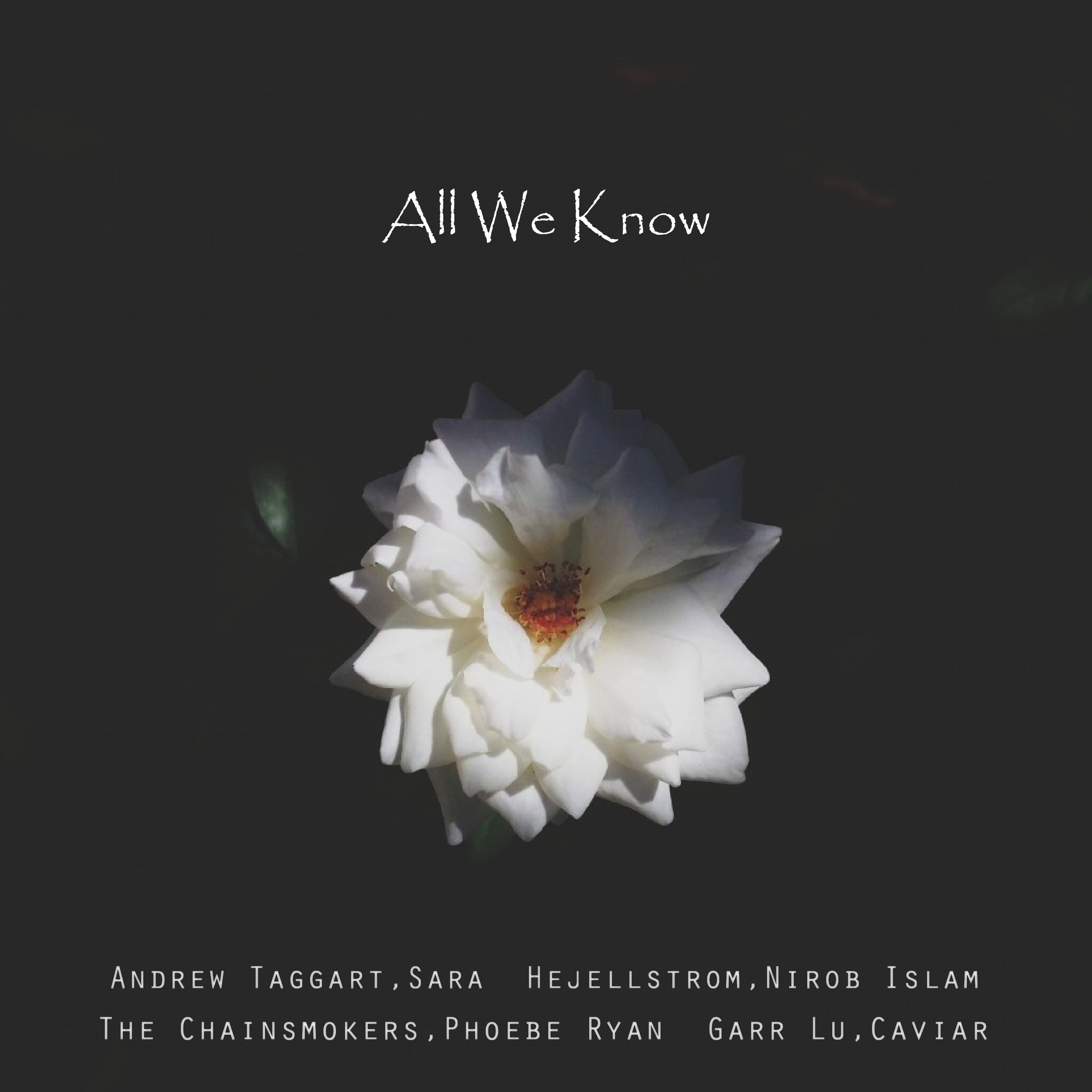 All We Know feat. Irene li kai lin Cover: The Chainsmokers