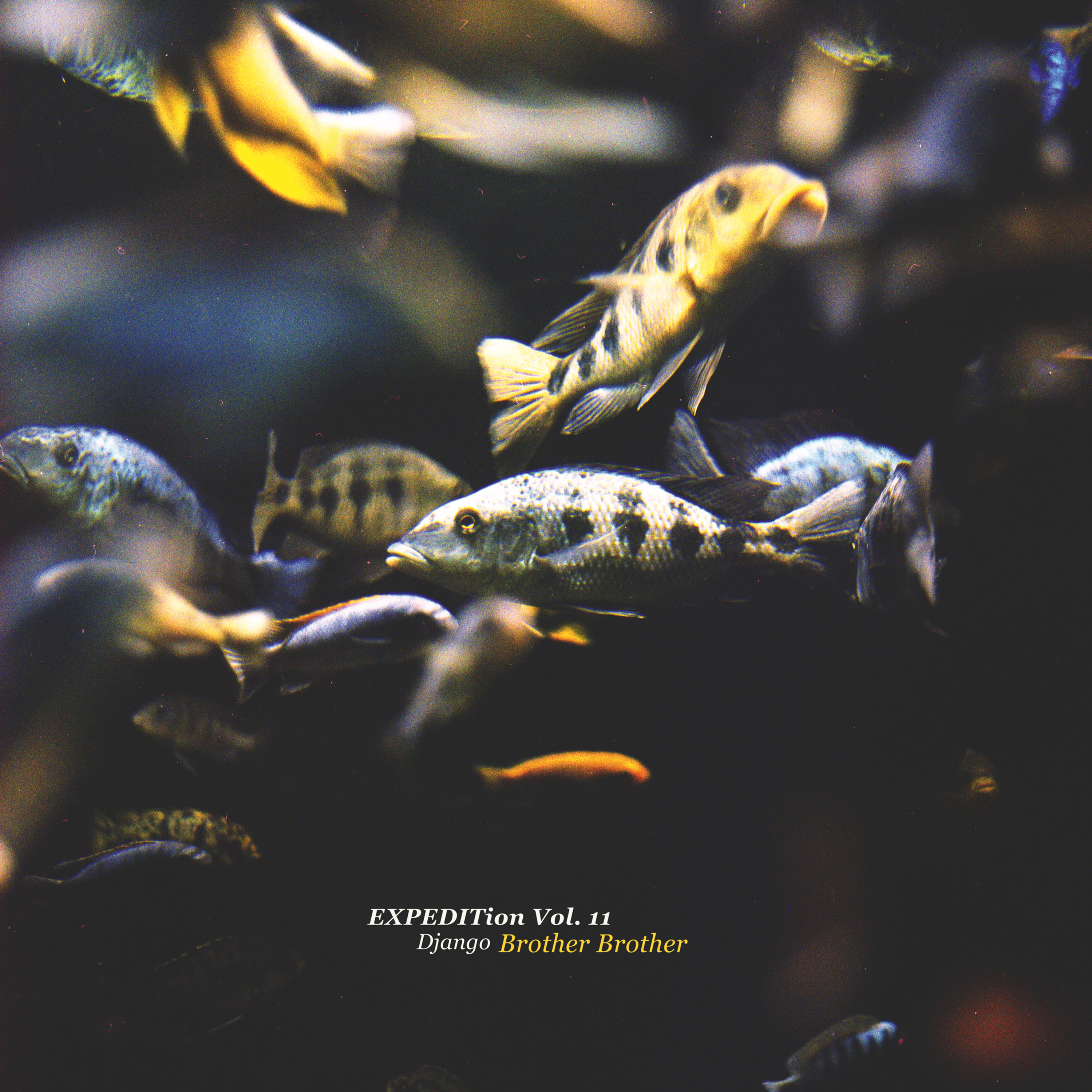 EXPEDITion Vol. 11: Brother Brother