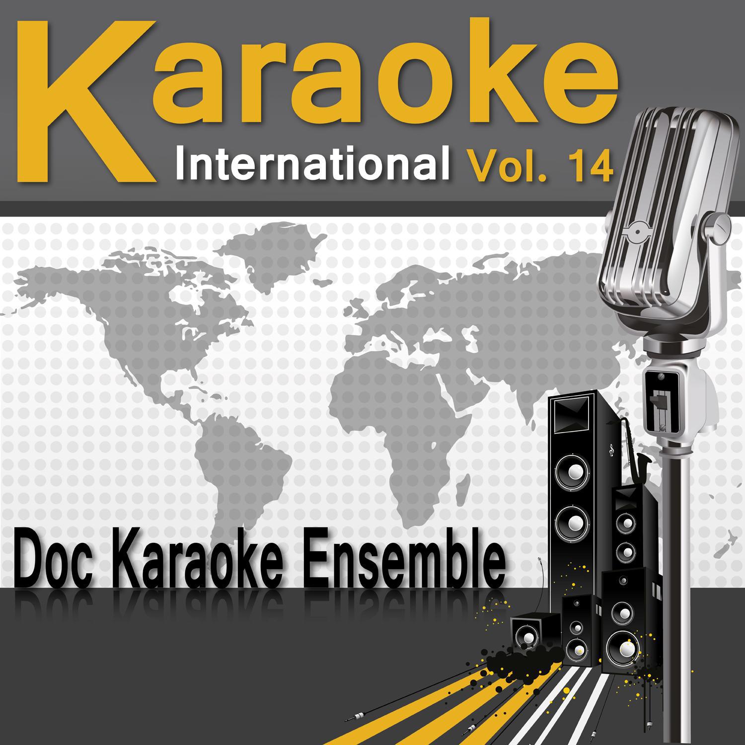 Karaoke International Vol. 14