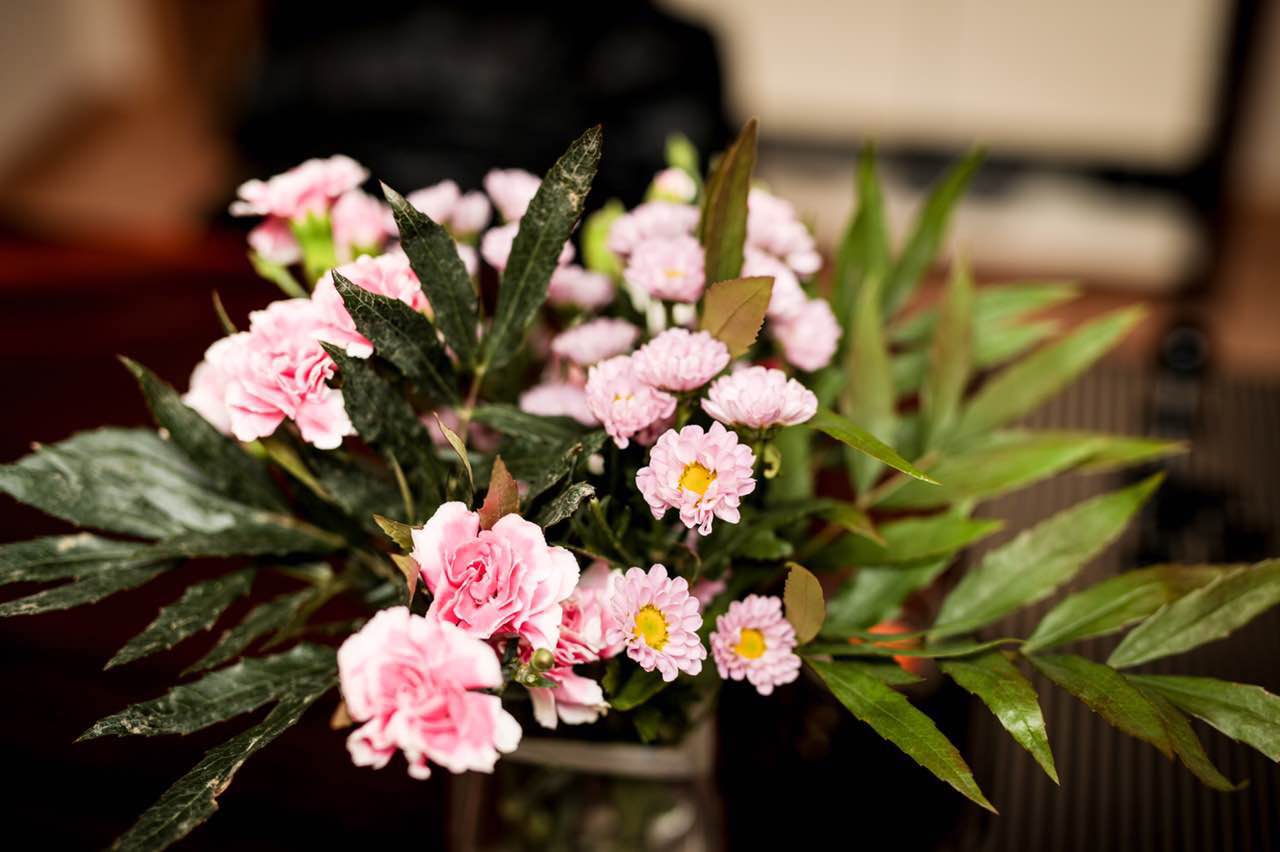 zhong wen zuo pin 2015