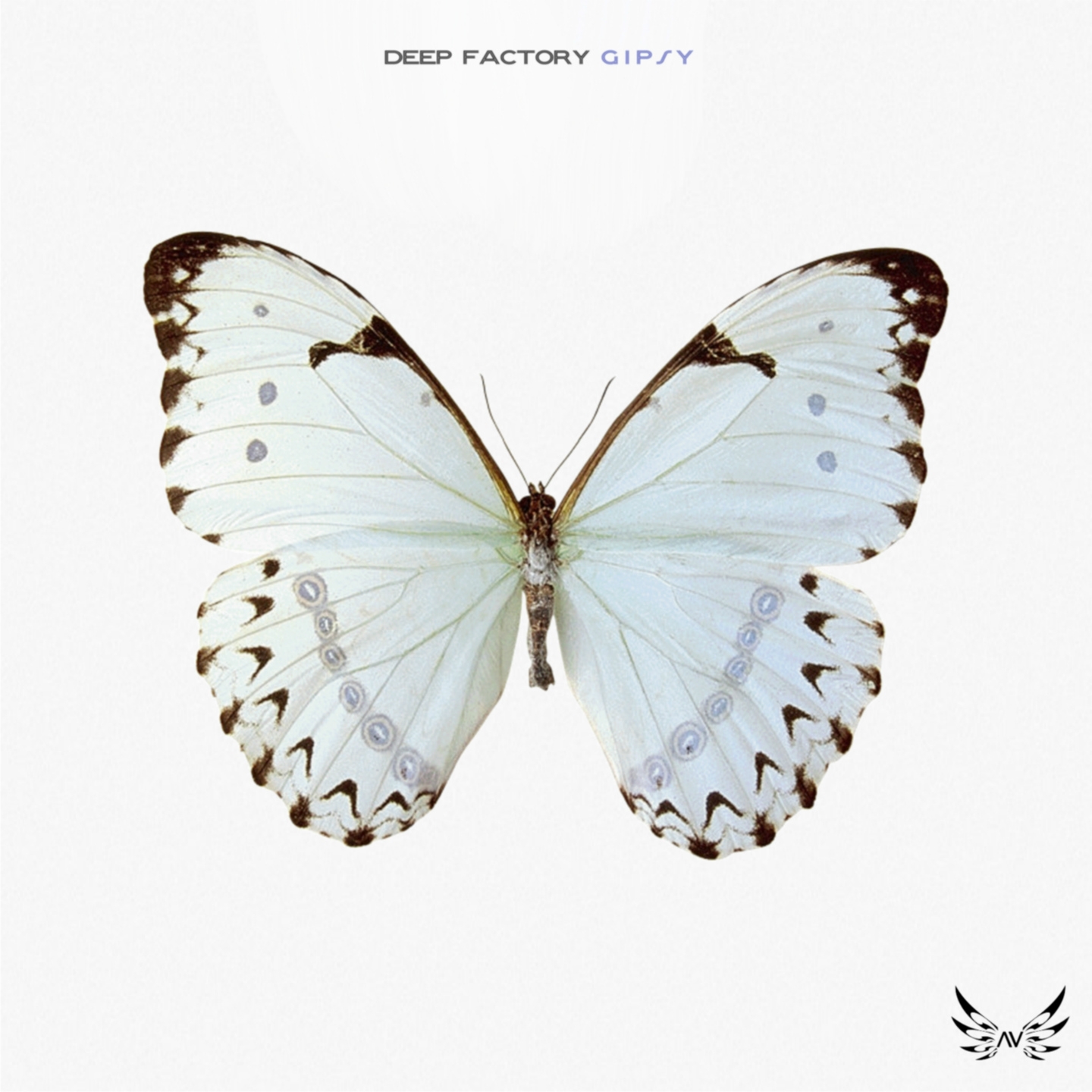 Gipsy (Dancefloor Remix)